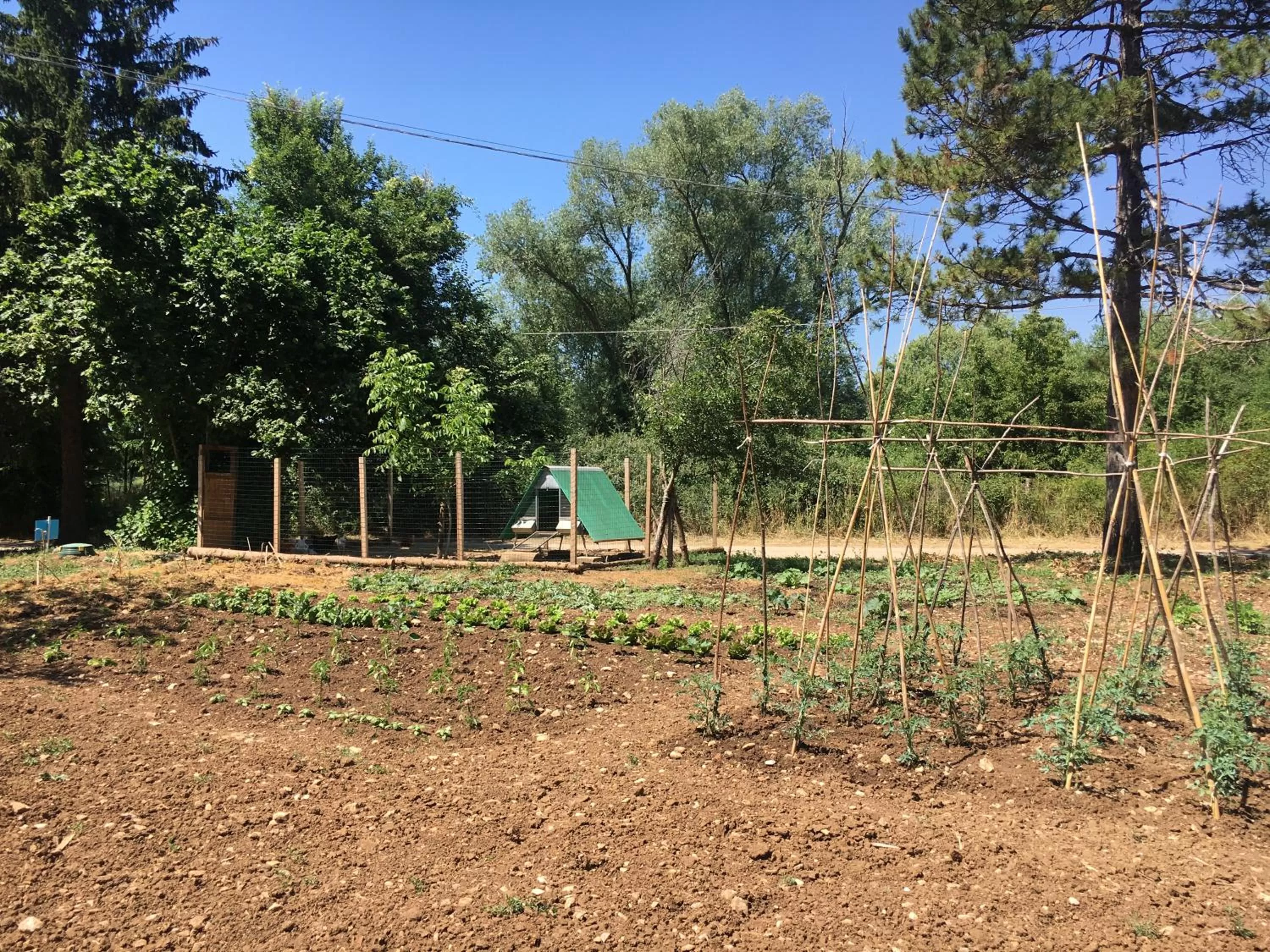 Property building in Le Calecatine