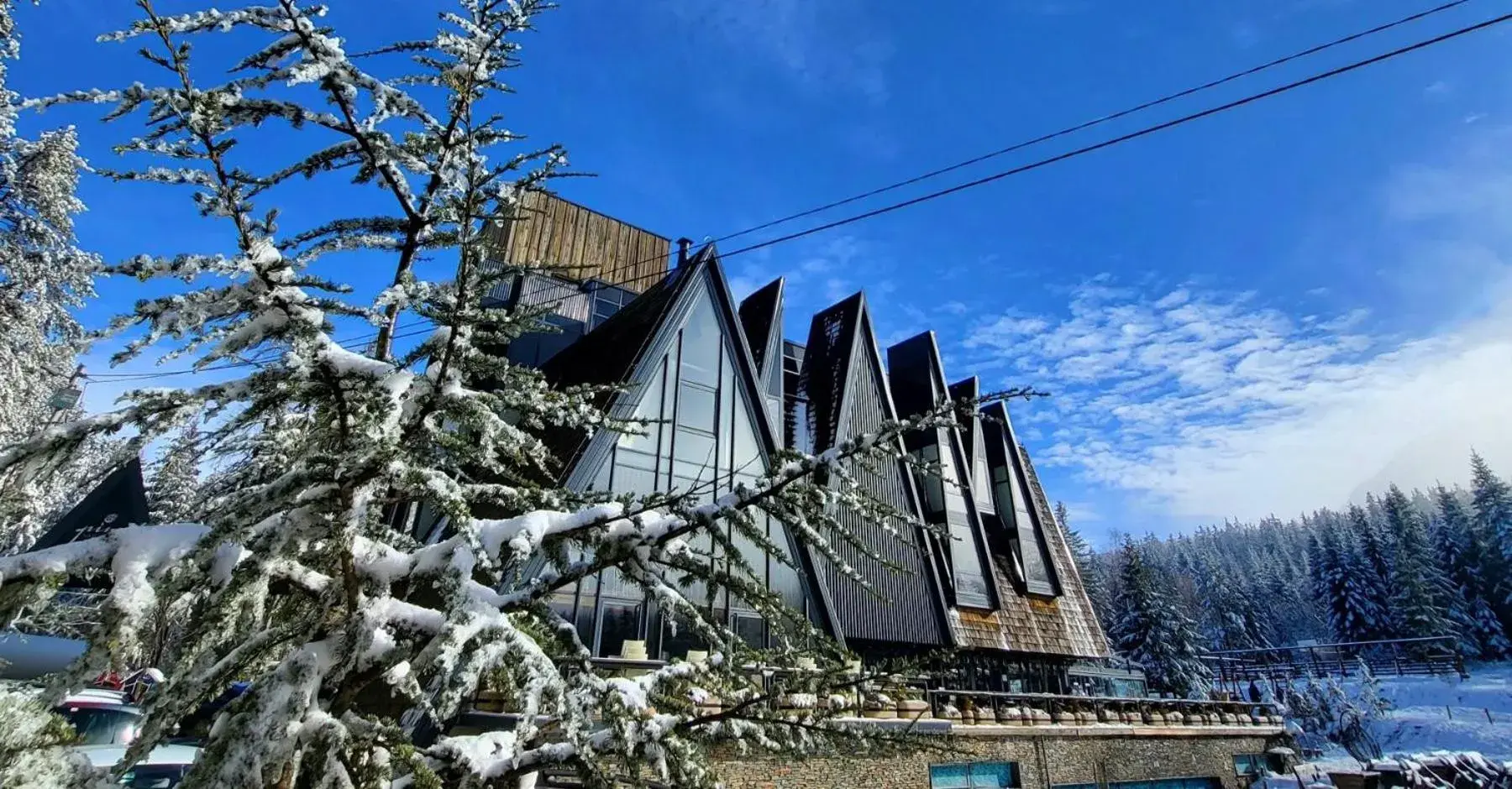 Property building, Winter in Pino Nature Hotel