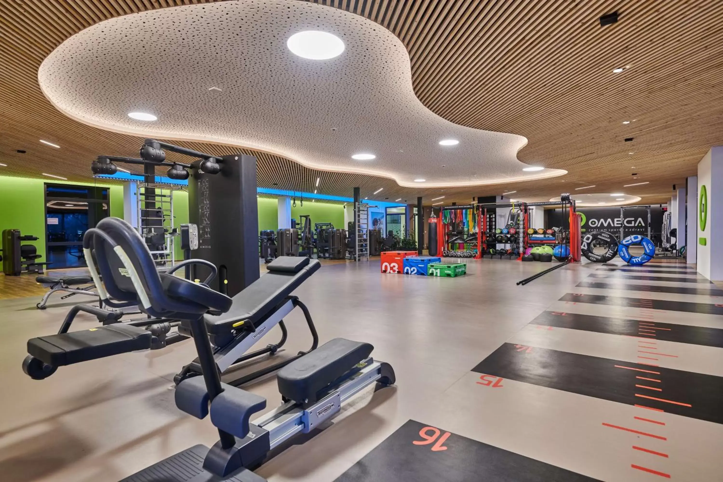 Activities, Fitness Center/Facilities in NH Collection Olomouc Congress