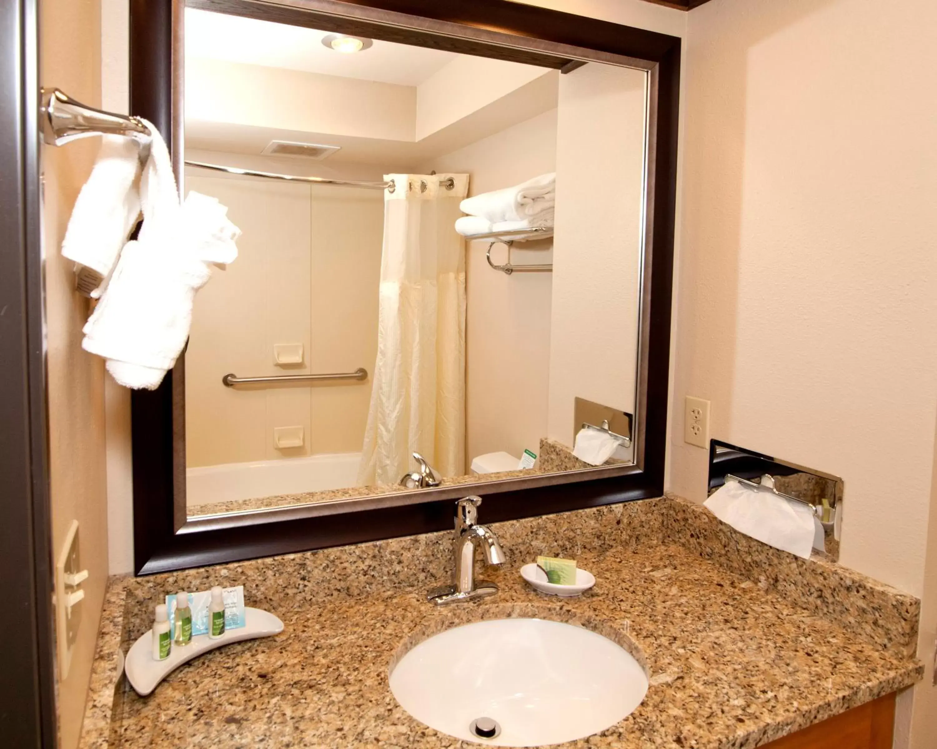 Bathroom in Best Western Plus GranTree Inn