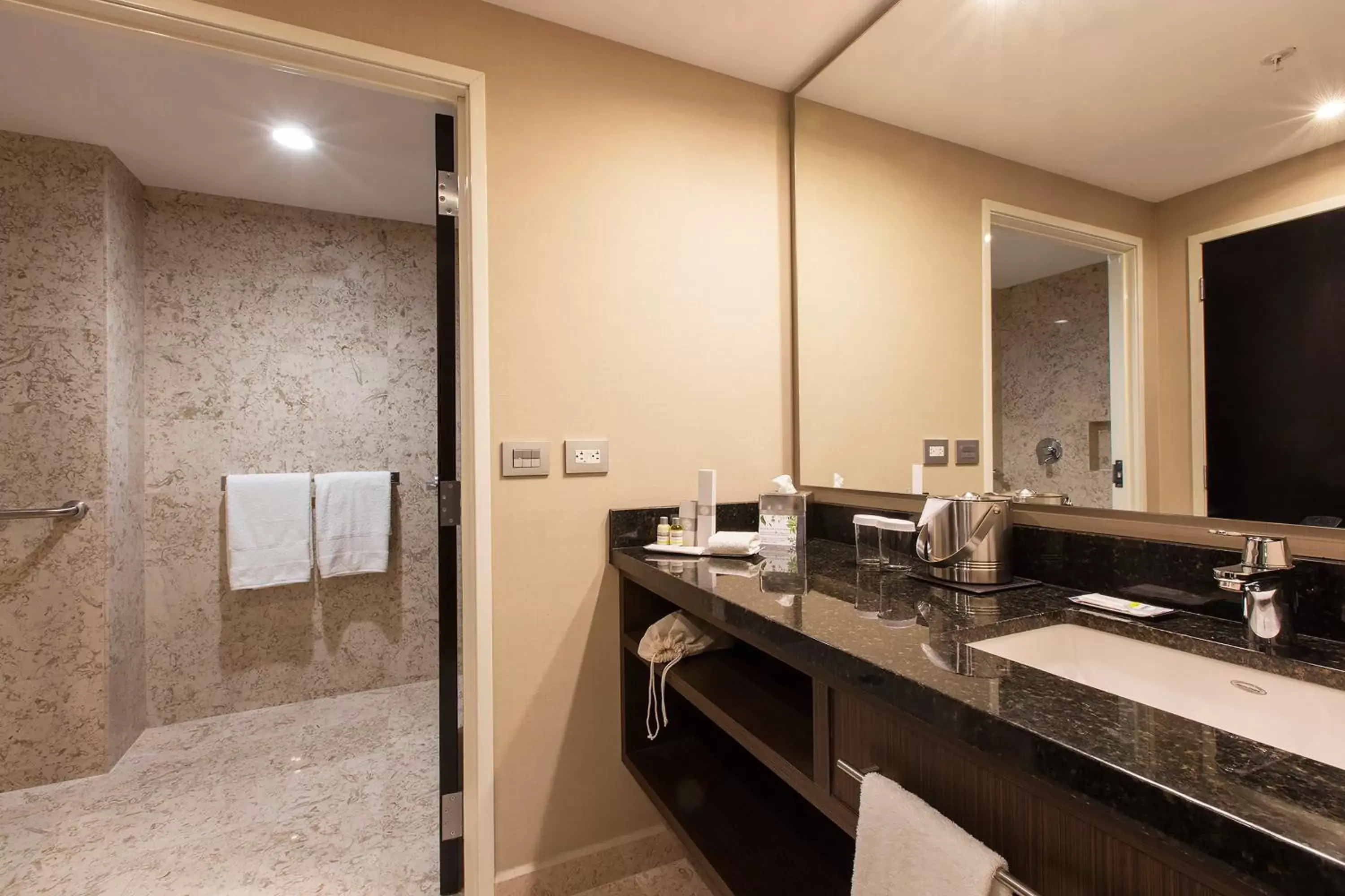 Photo of the whole room, Bathroom in Krystal Urban Aeropuerto Ciudad de Mexico