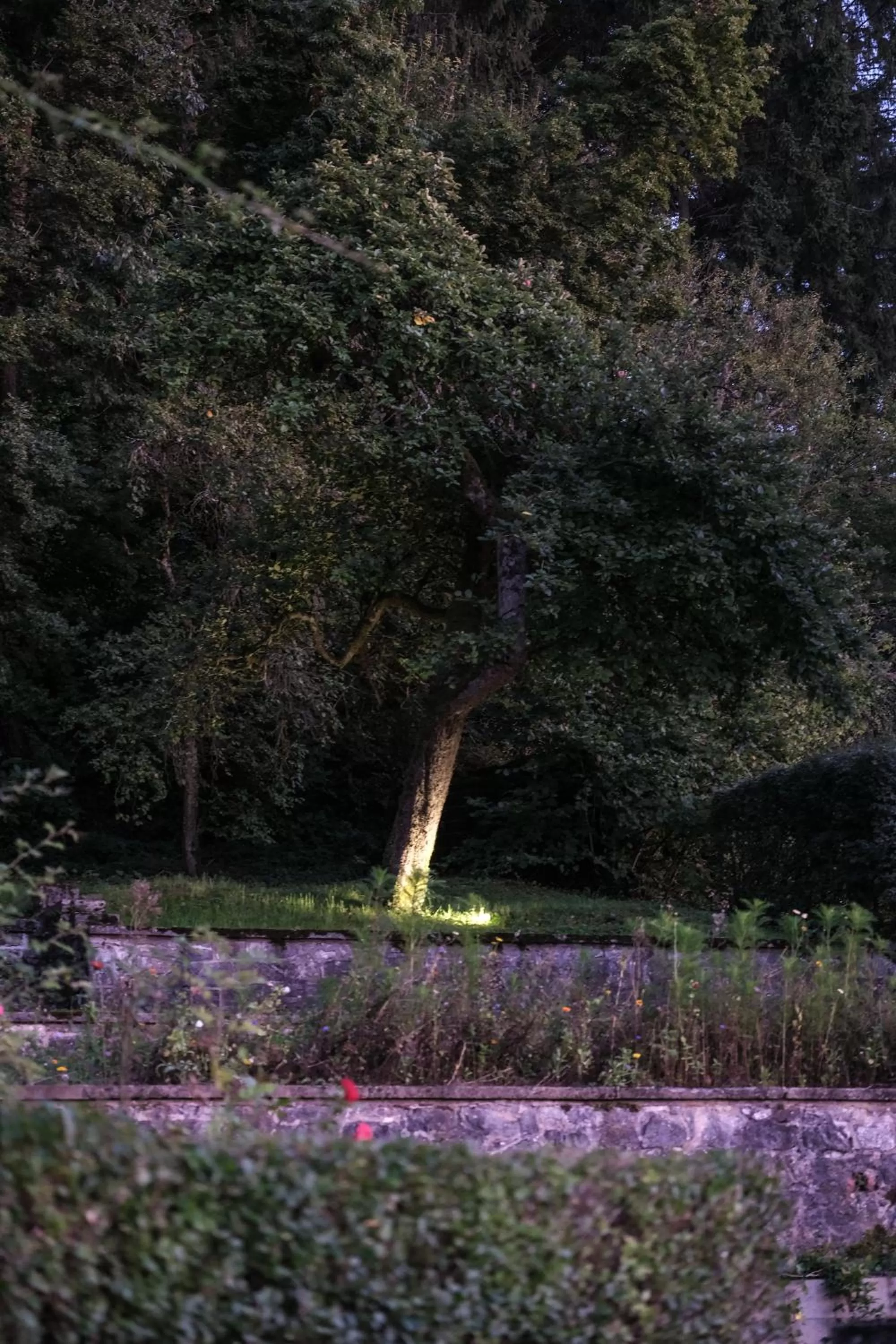 Garden, Natural Landscape in Les Terrasses des Falizes B&B
