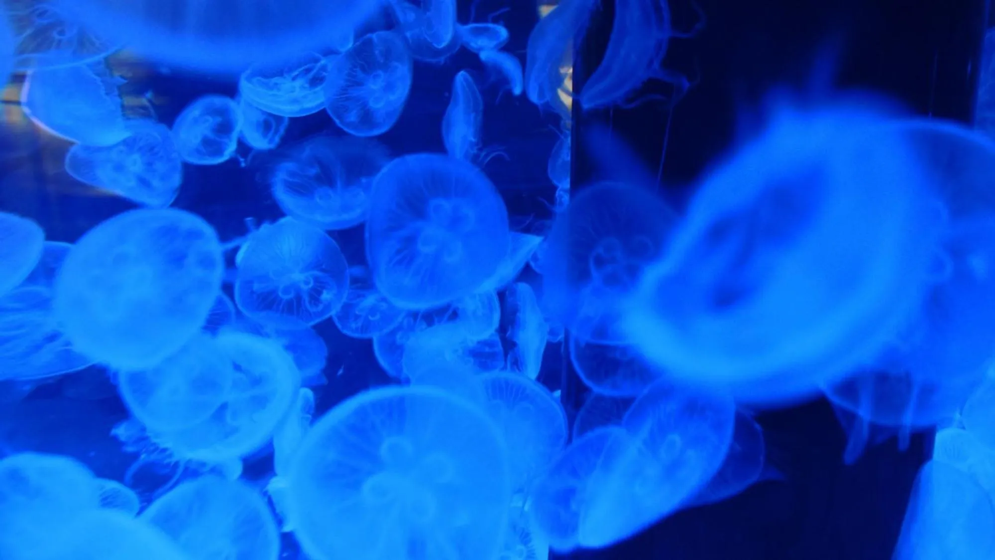 Nearby landmark in Toyoko Inn Tokyo Shinagawa-eki Takanawa-guchi