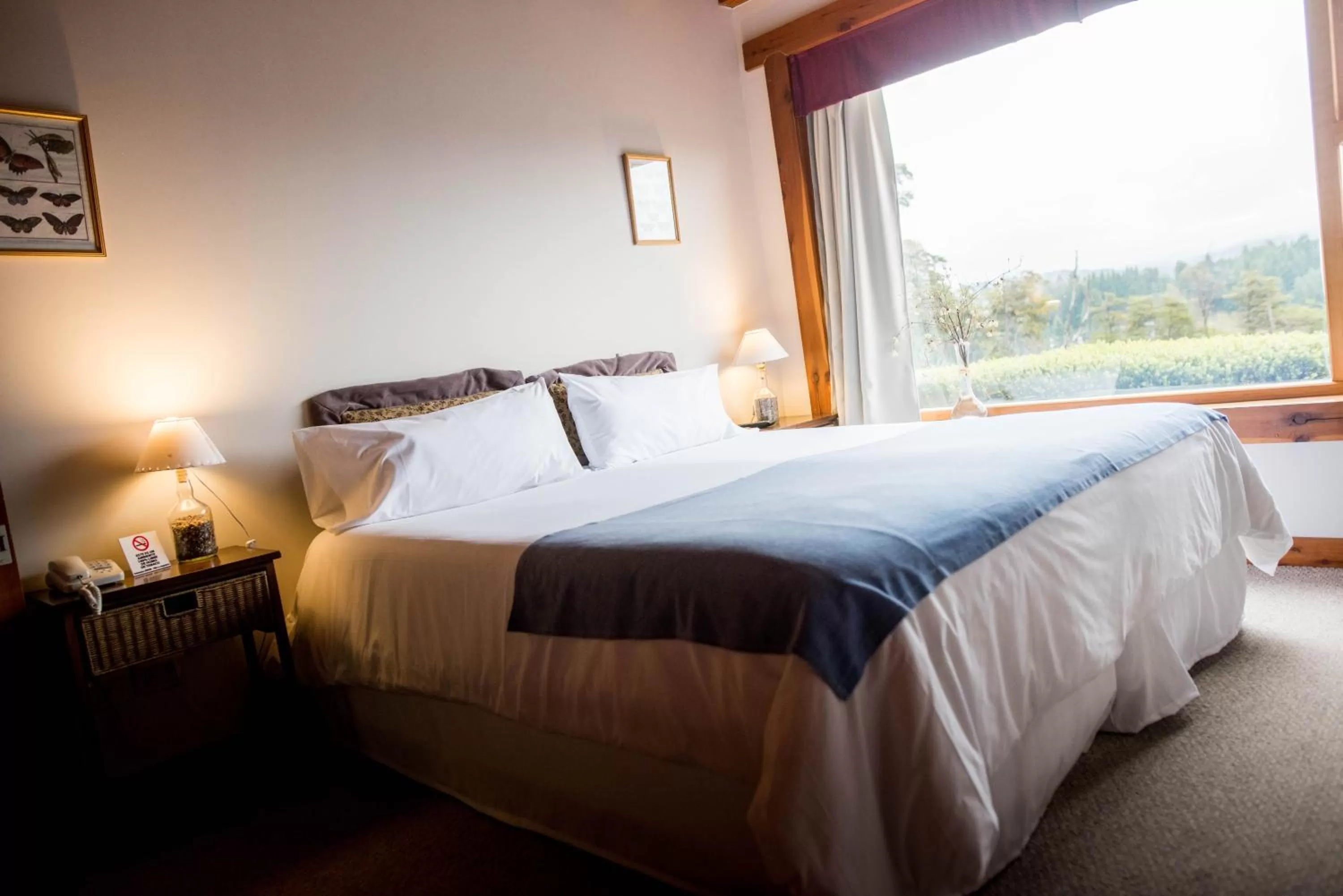 Garden view, Bed in Amigos del Bosque