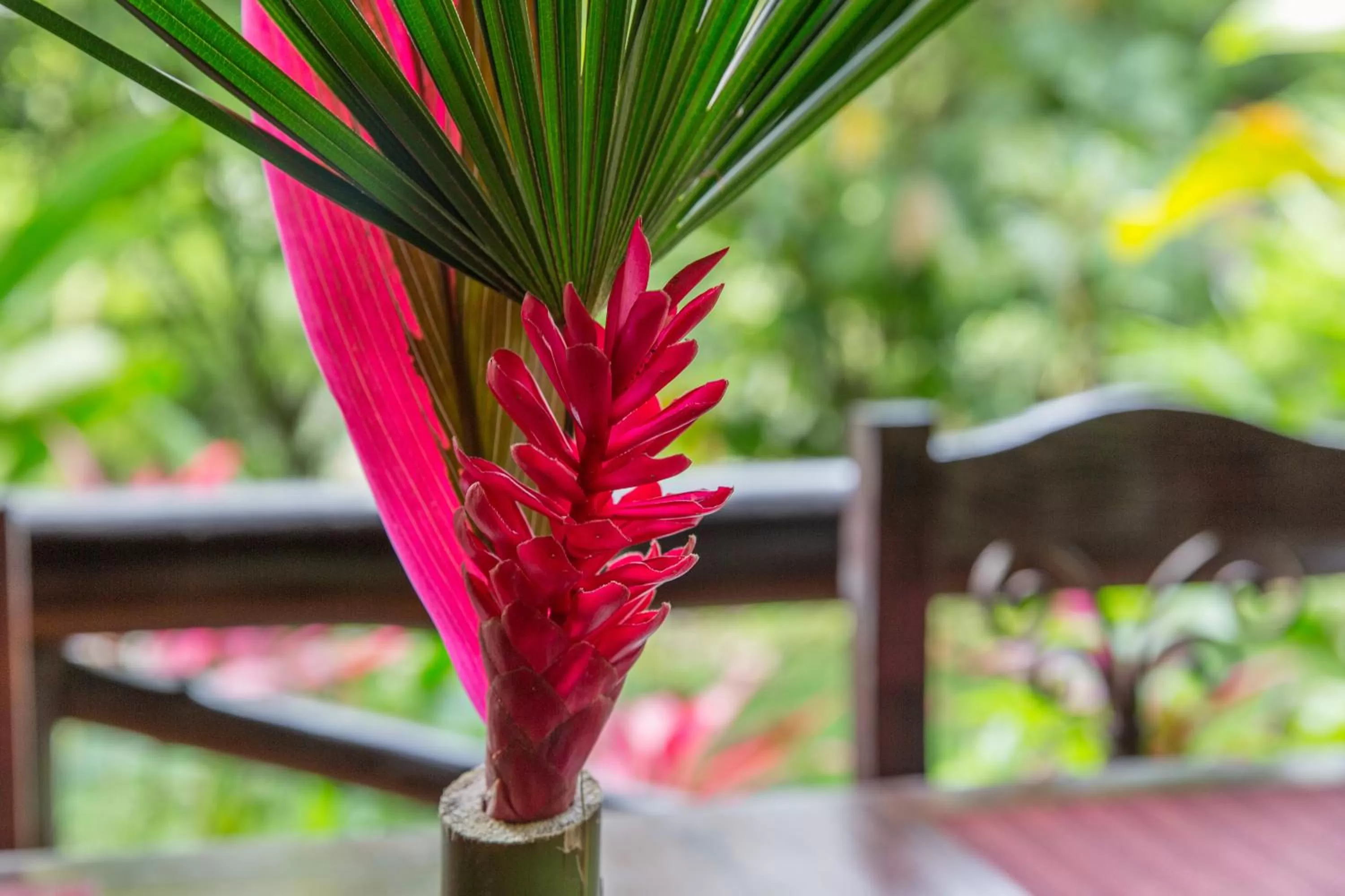 Restaurant/places to eat in Hotel Kokoro Mineral Hot Springs