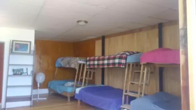 Bunk Bed in La casa del nenufar