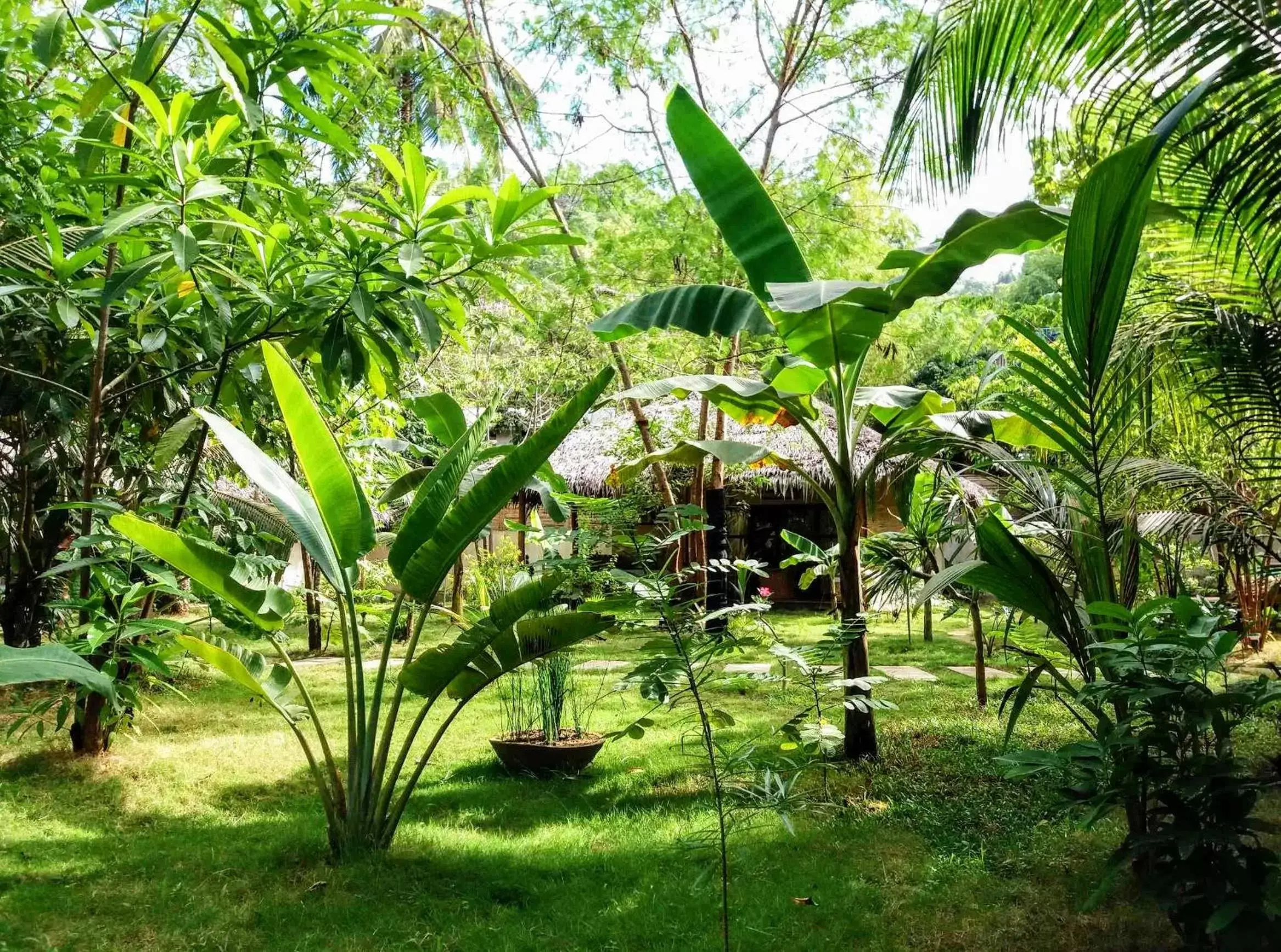Garden view, Garden in El Nido Coco Resort
