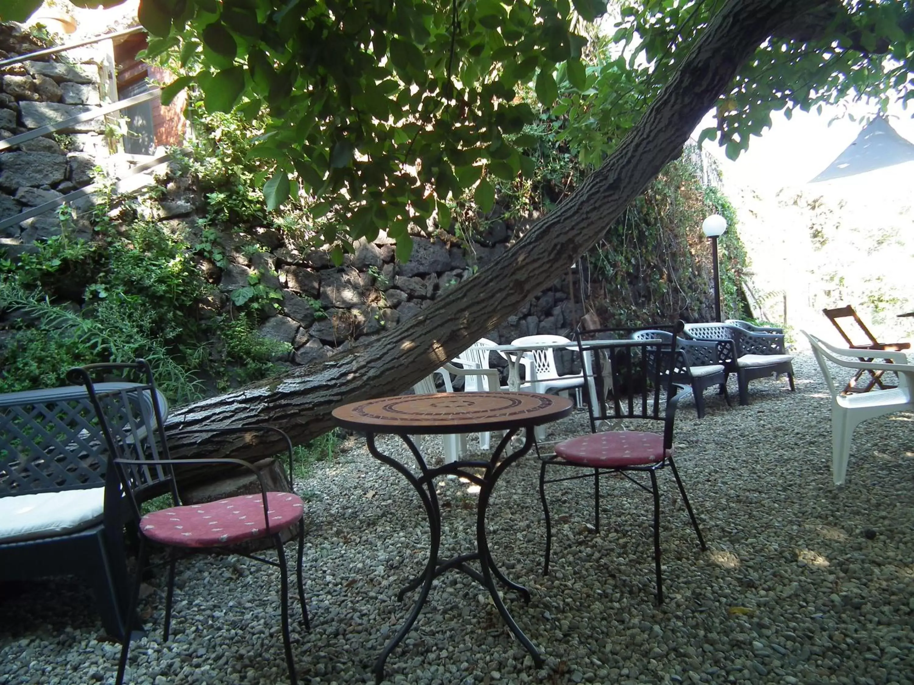 Garden, Patio/Outdoor Area in B&B Villa Lidia