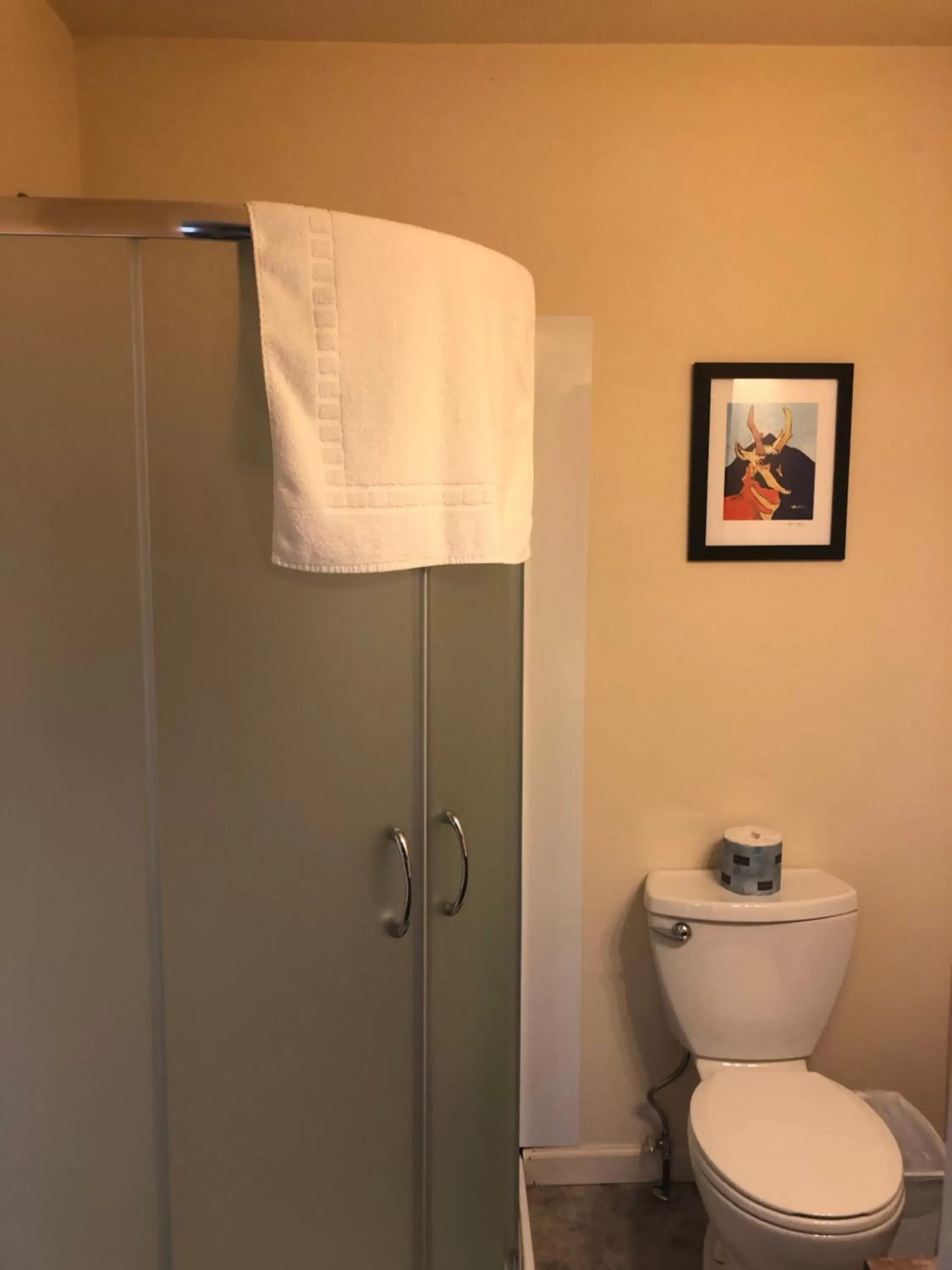 Shower, Bathroom in Mansion House Motel