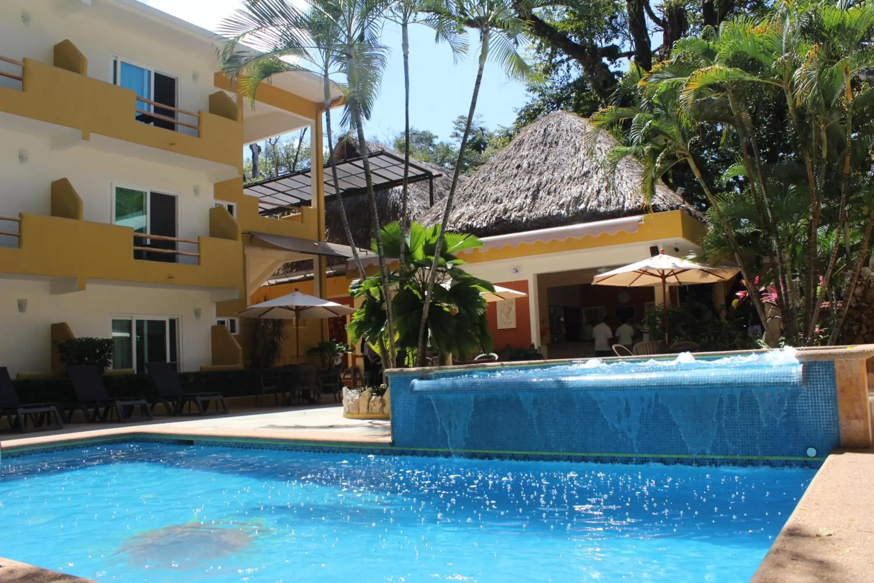 Garden, Swimming Pool in Hotel Chablis Palenque