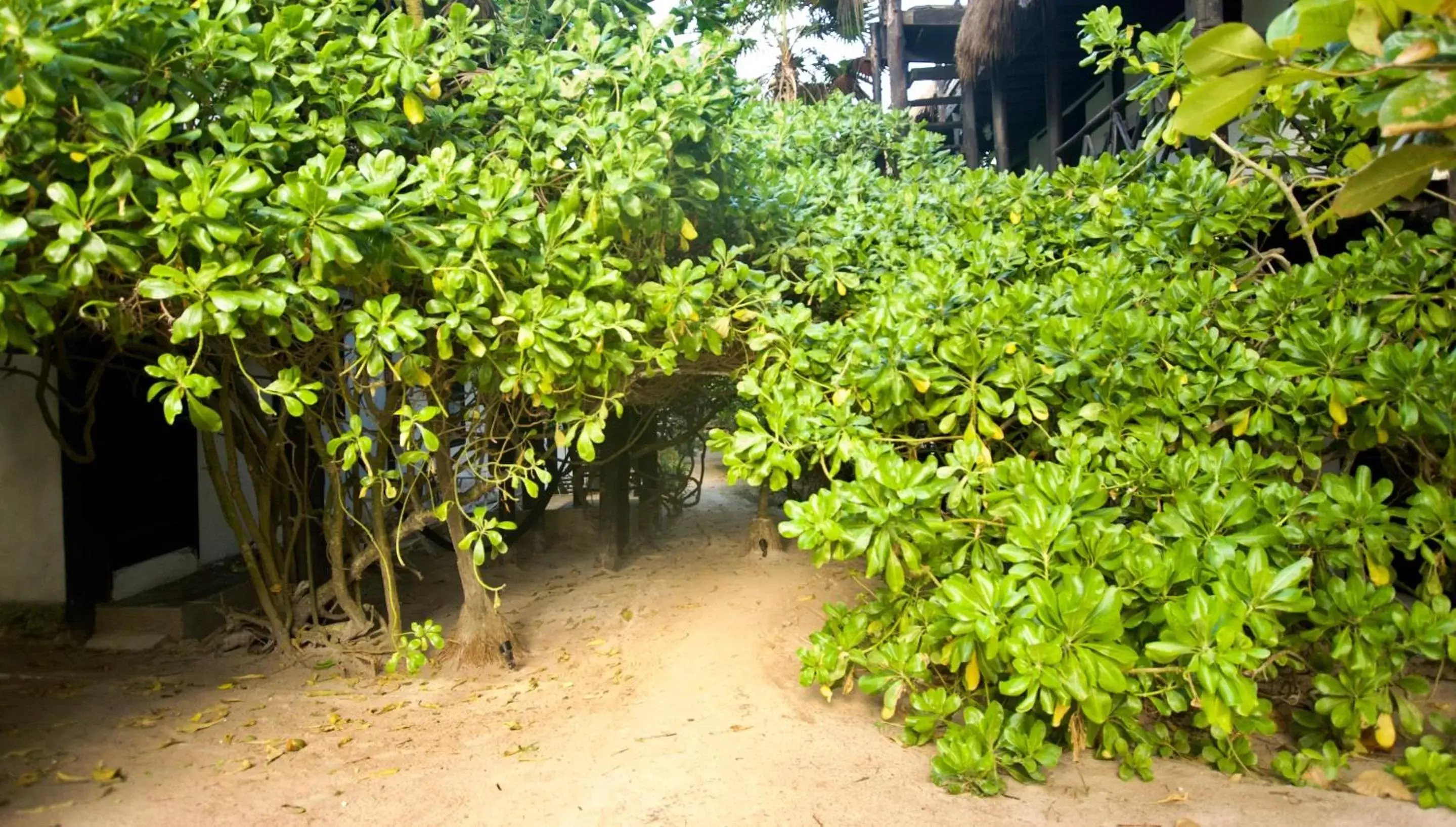 Garden in Hotel Zulum