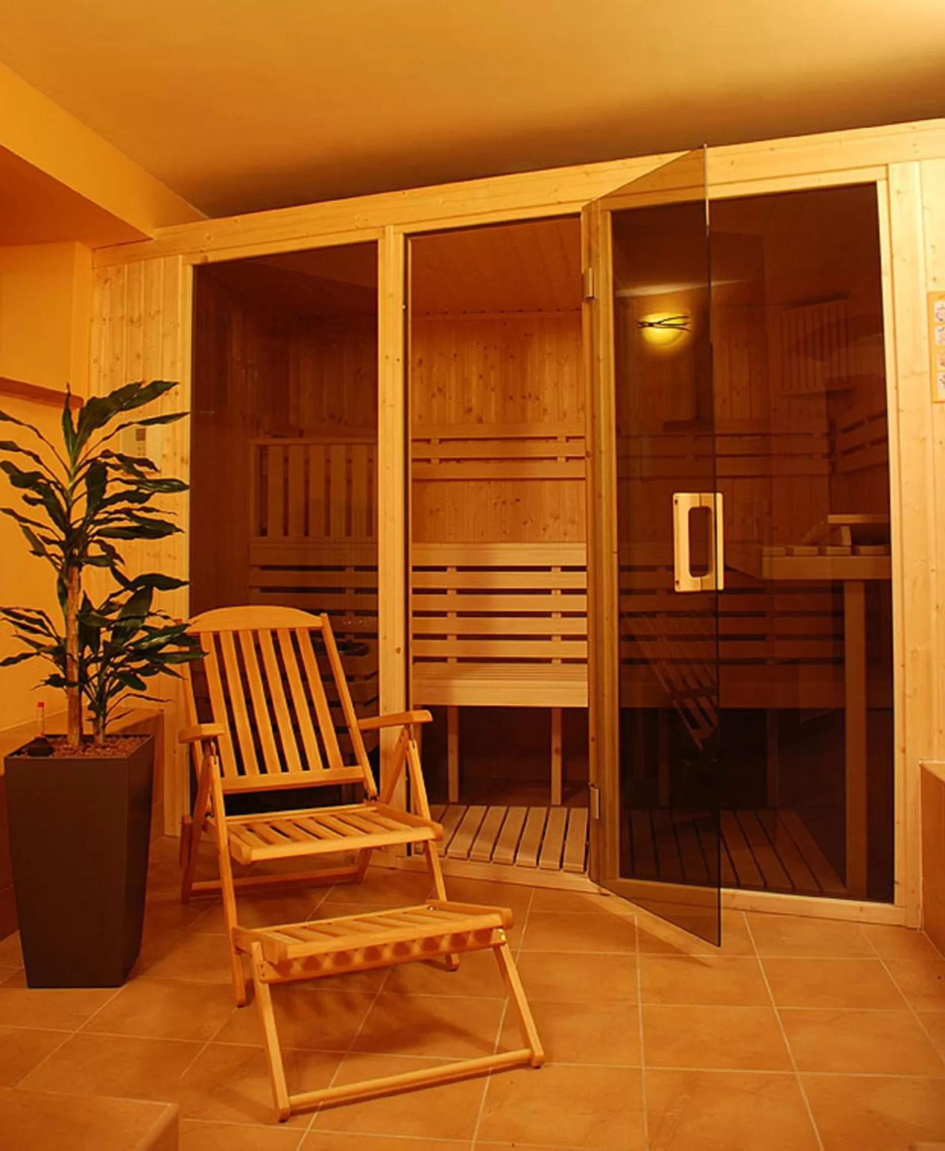Sauna in Hotel Solny