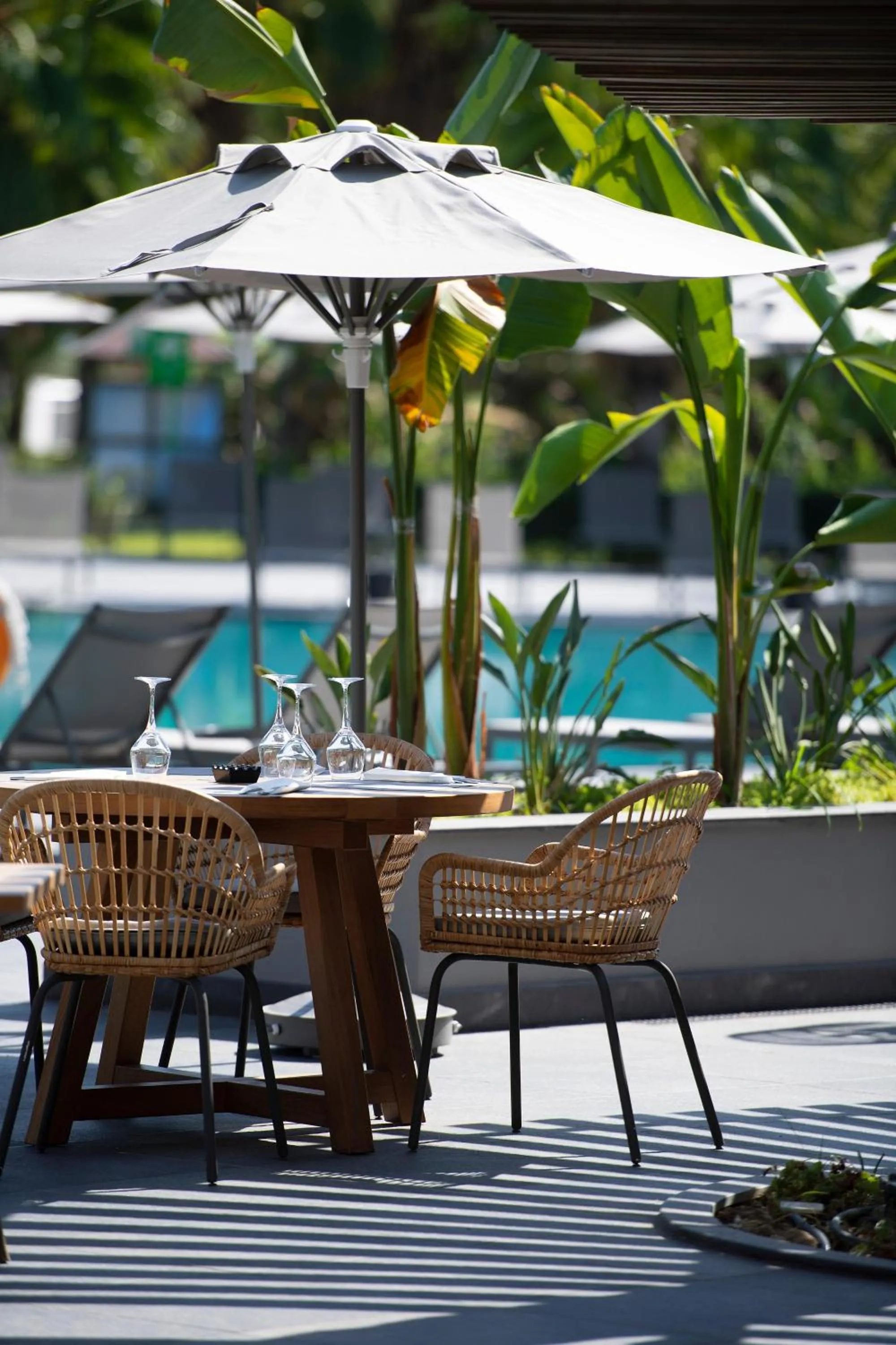 Balcony/Terrace in Miramare Beach Hotel - Ultra All Inclusive