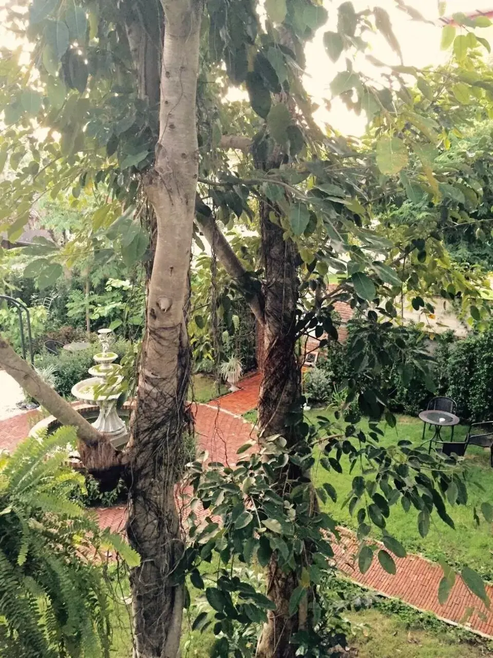 View (from property/room), Garden in Nai Suan Bed and Breakfast