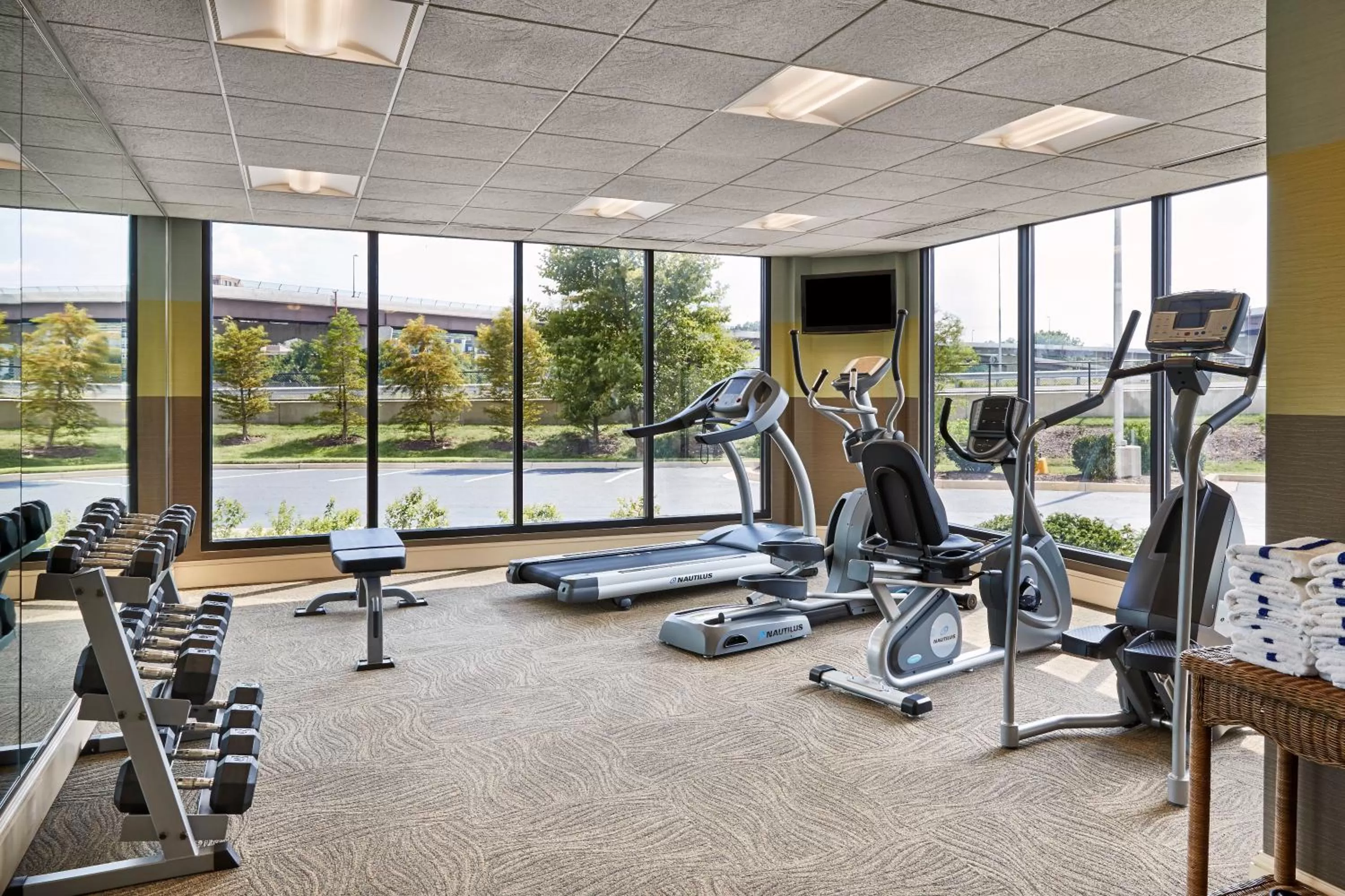 Fitness centre/facilities in Holiday Inn Alexandria at Carlyle by IHG