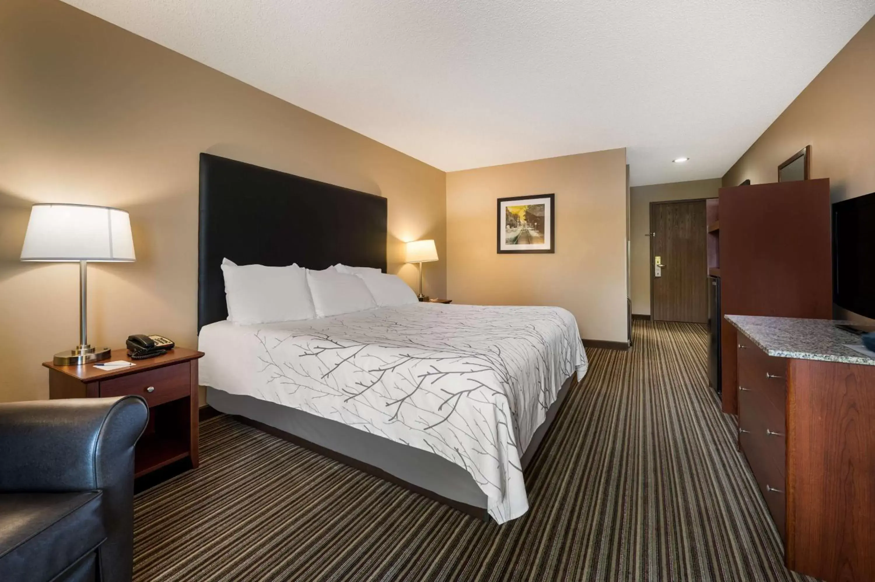 Bedroom, Bed in Best Western Park Oasis Inn