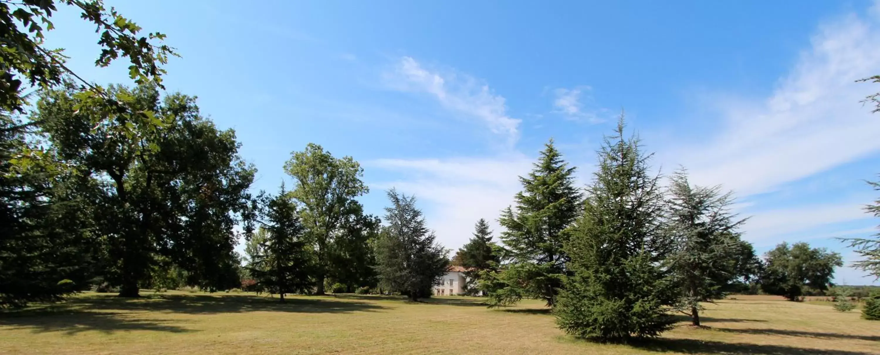 Garden in La Fréjade