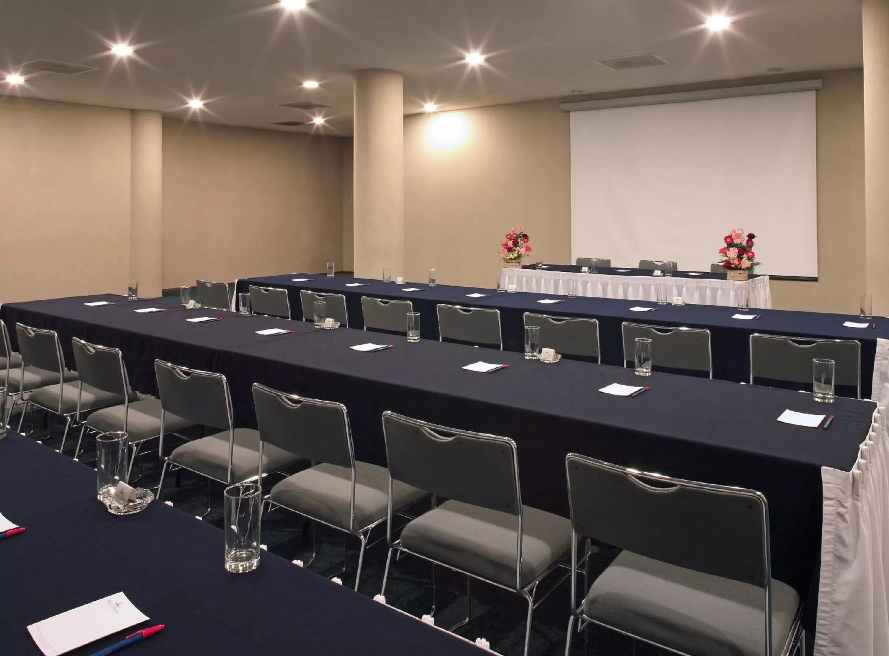 Meeting/conference room in Hotel Francia Aguascalientes