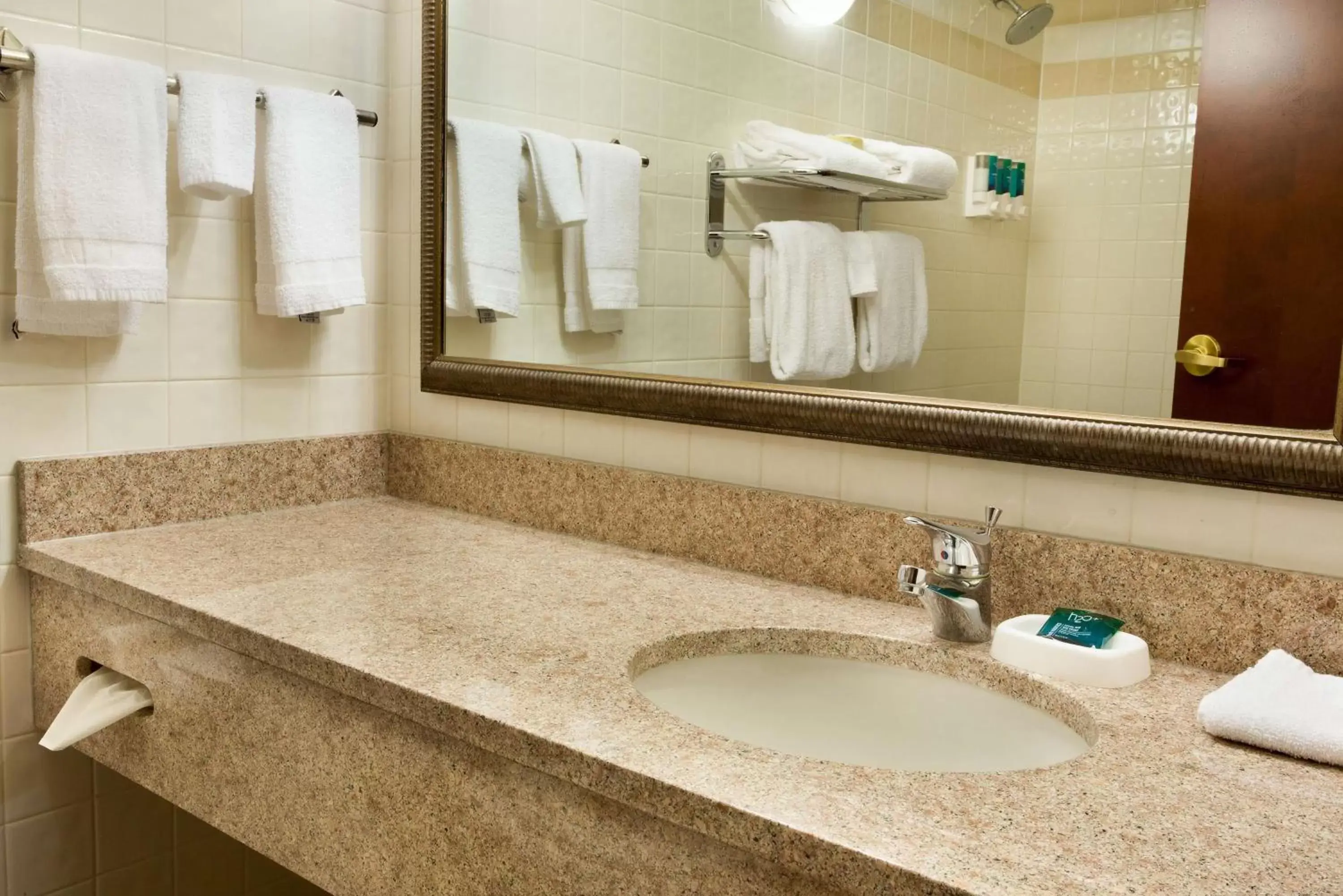 Bathroom in Drury Inn & Suites St. Louis Creve Coeur