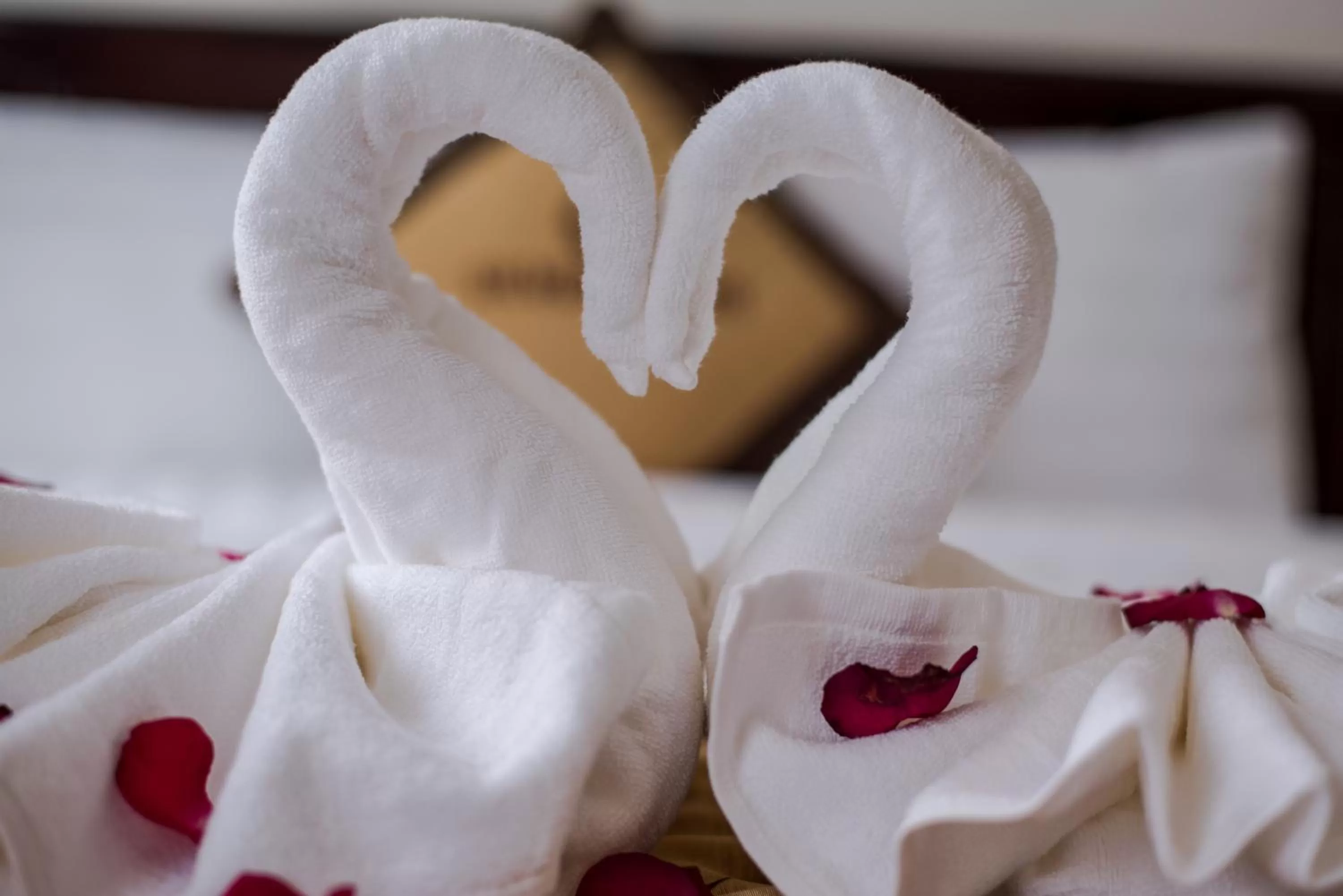 Decorative detail in Silver Moon Villa Hoi An