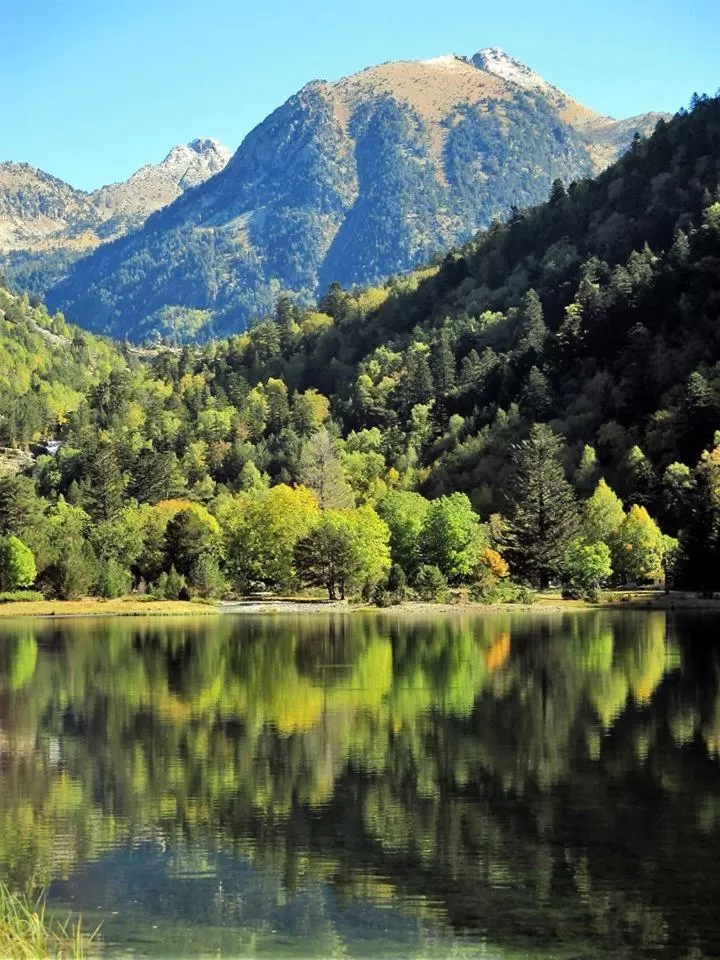 Natural landscape in Hotel Cotori
