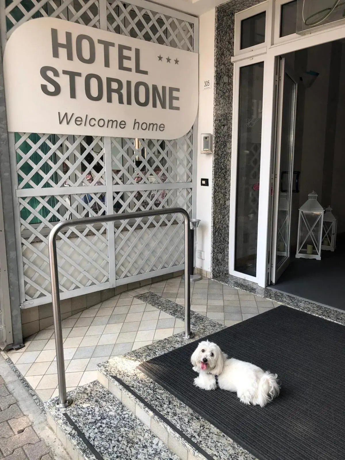 Pets in Hotel Storione