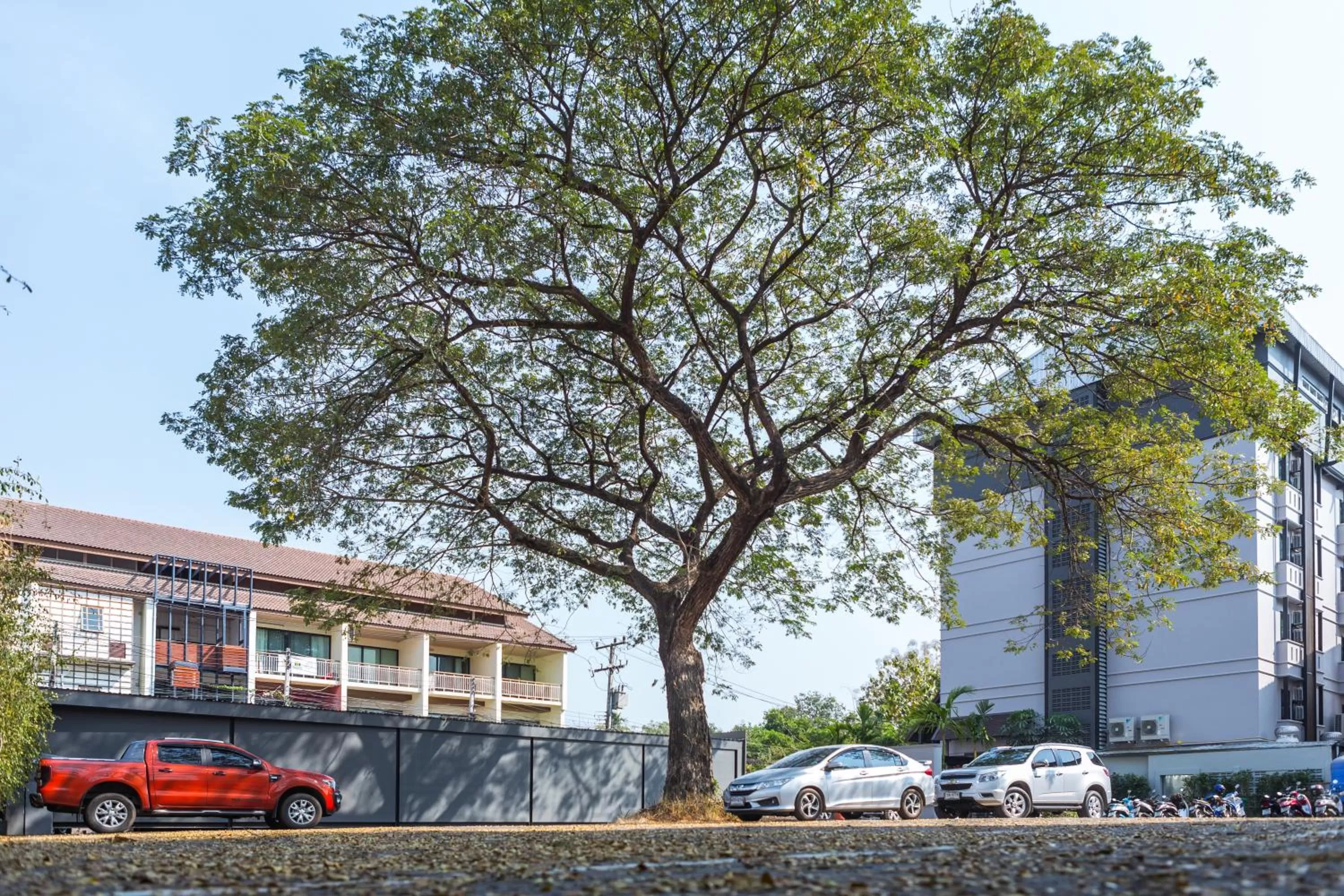 Property building in L Nimman