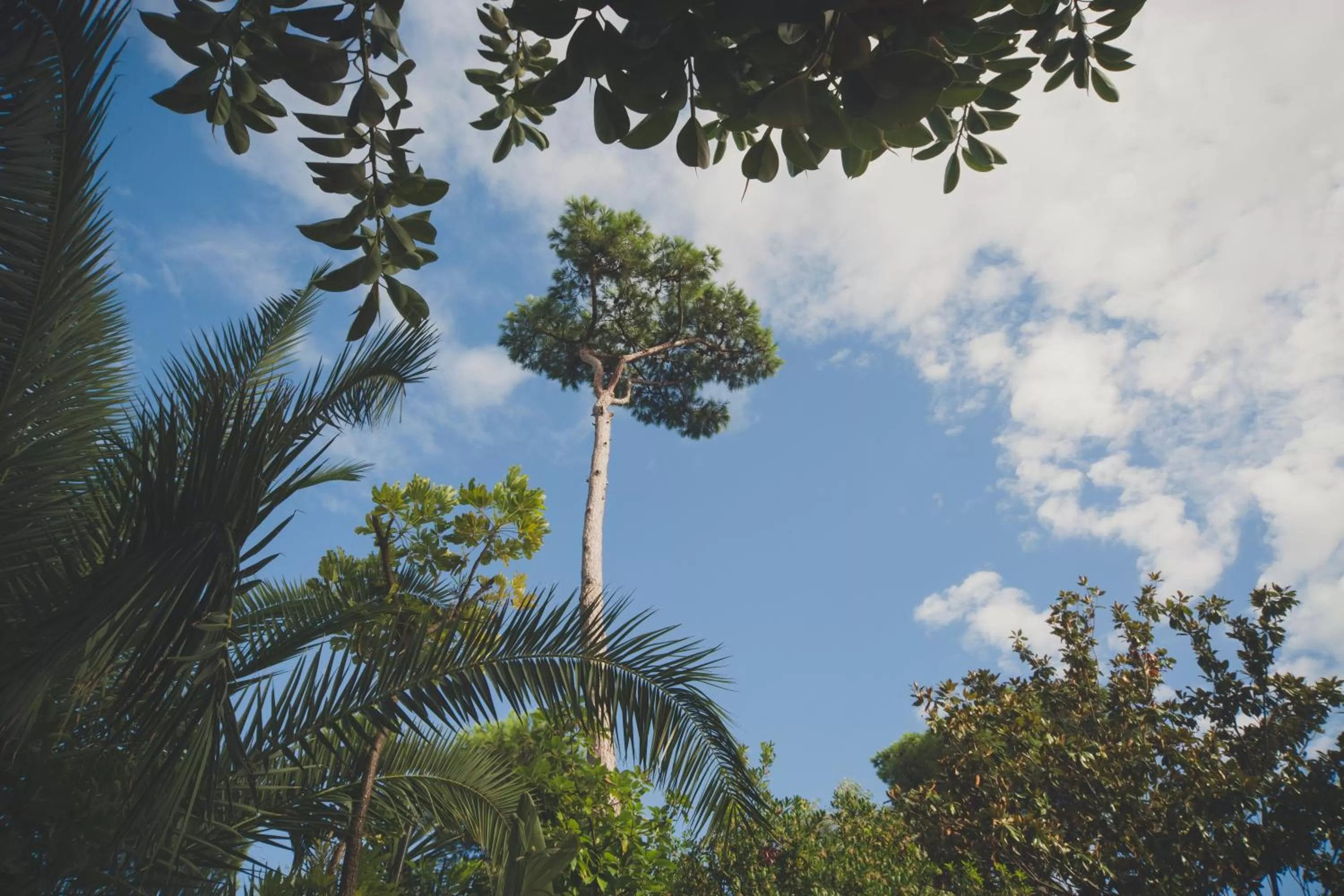 Day in Central Park Terme