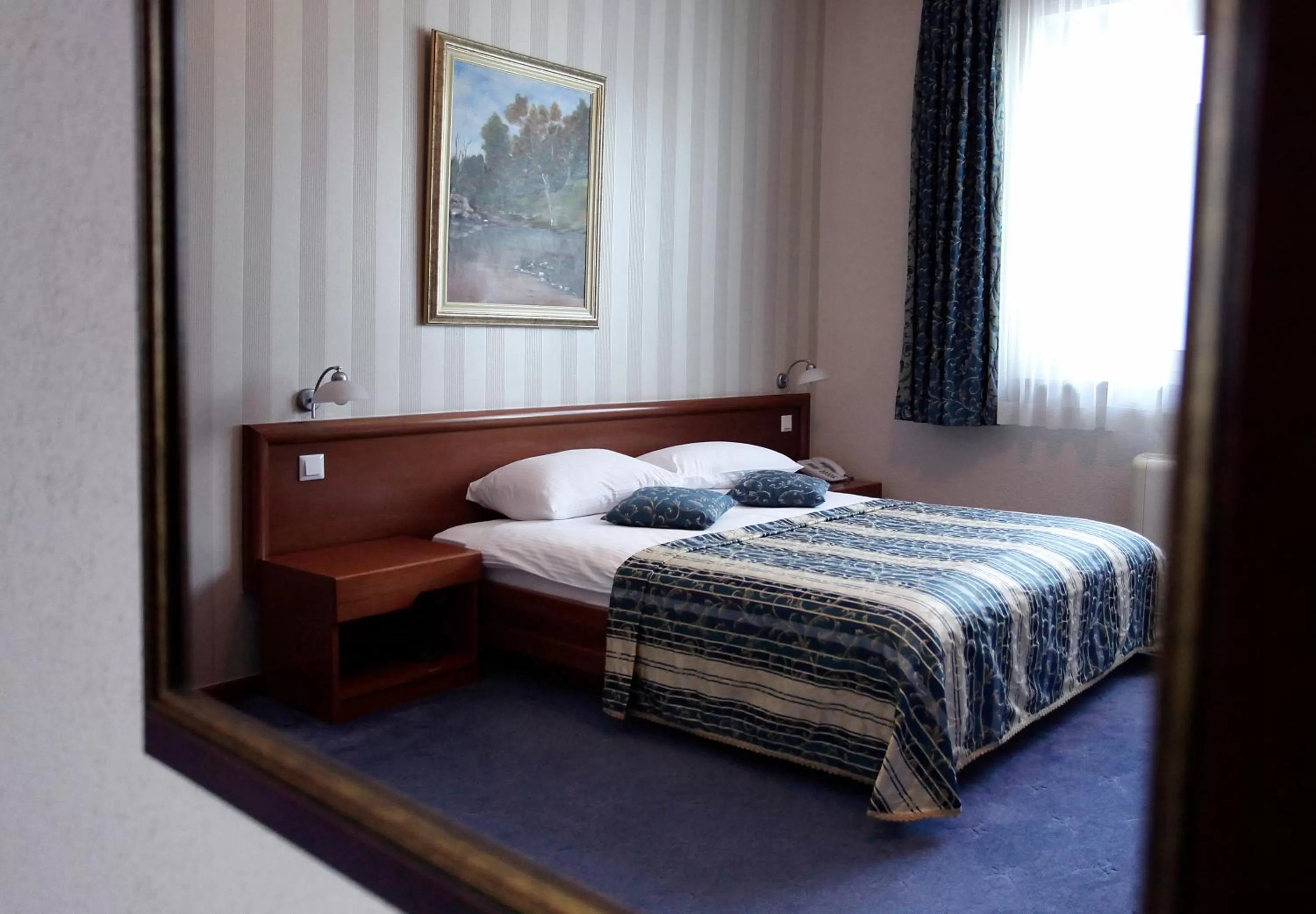 Standard Double Room in Hotel Vidović
