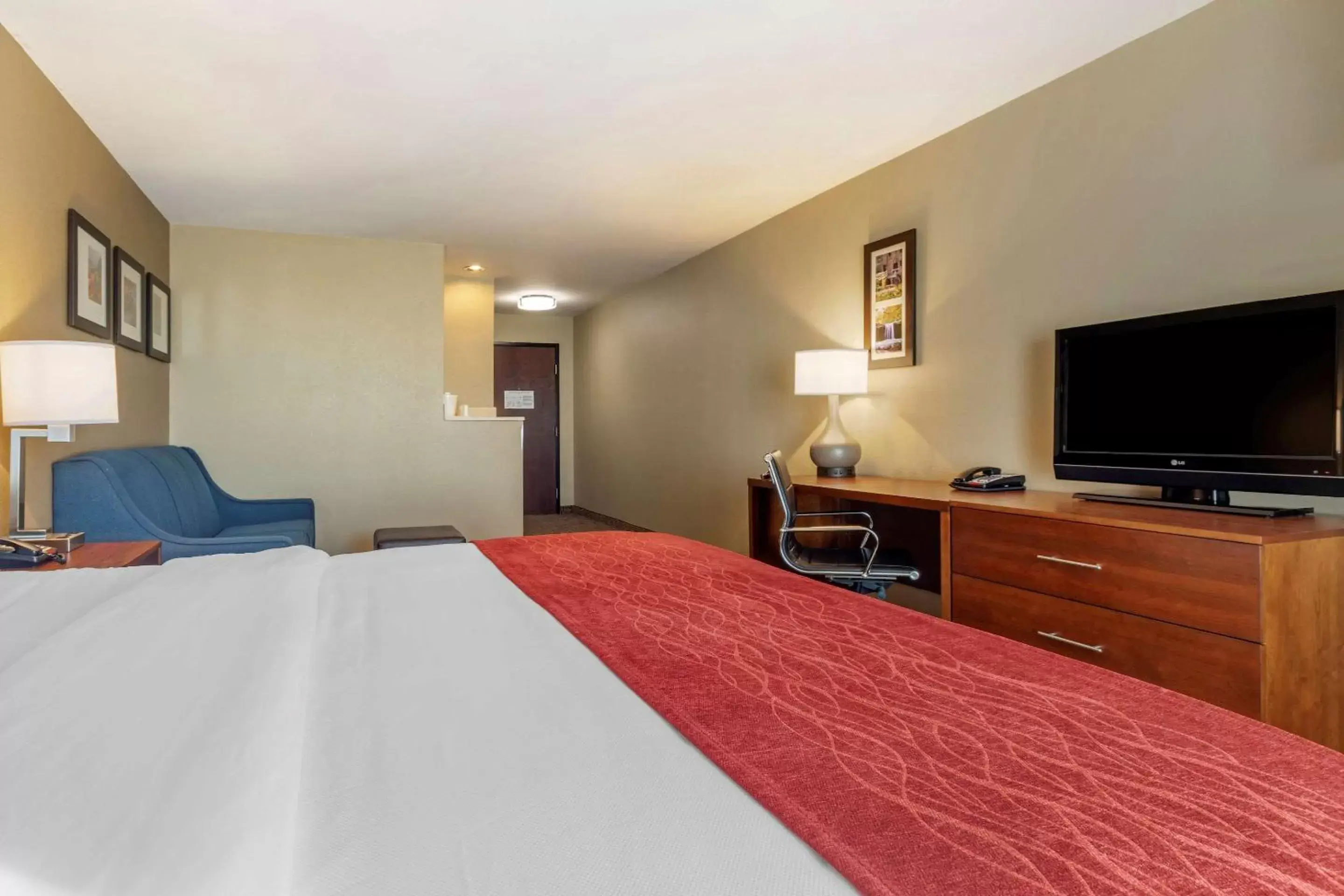 Photo of the whole room in Comfort Inn & Suites Russellville I-40