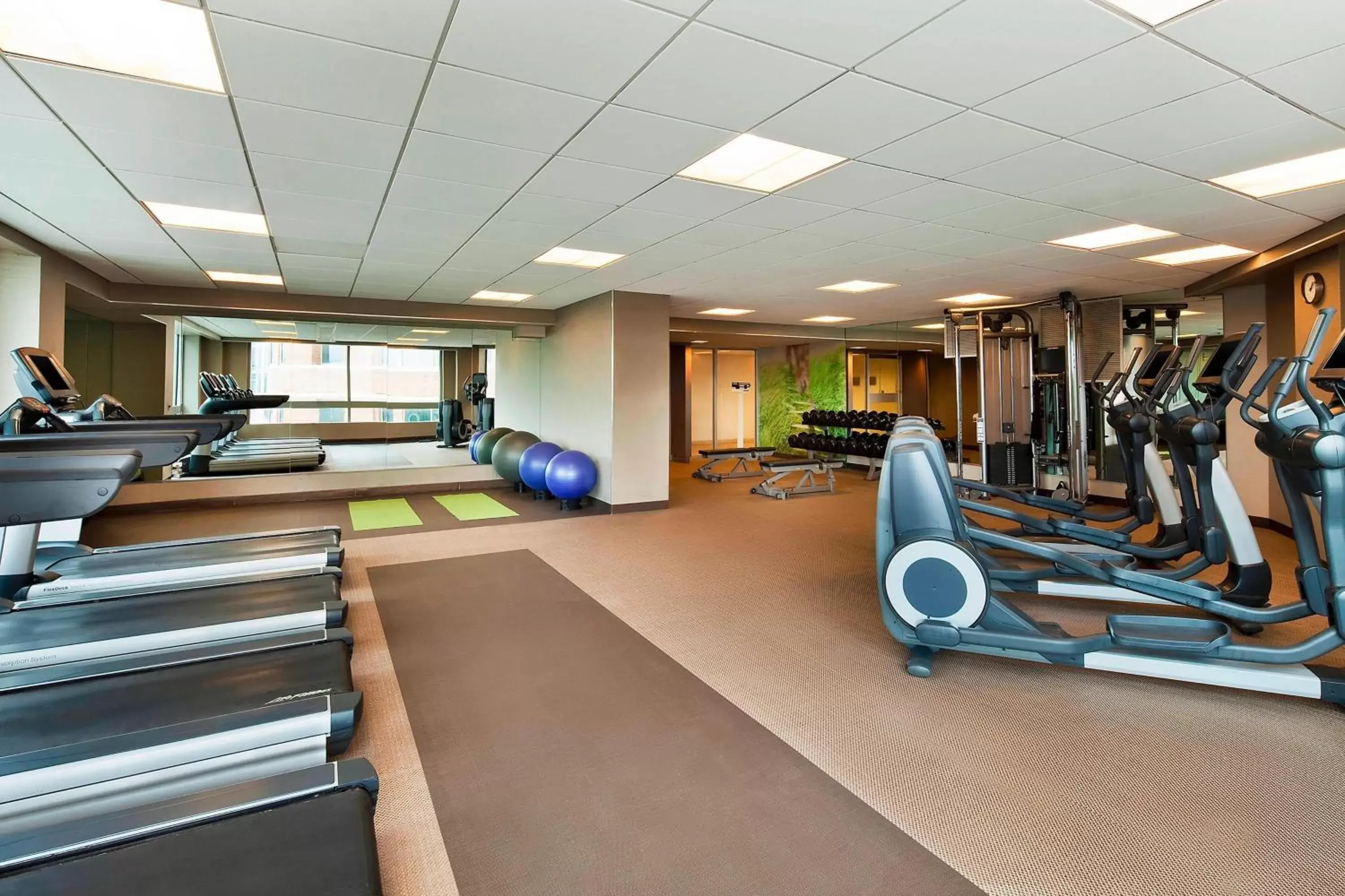 Fitness centre/facilities, Fitness Center/Facilities in The Westin Arlington