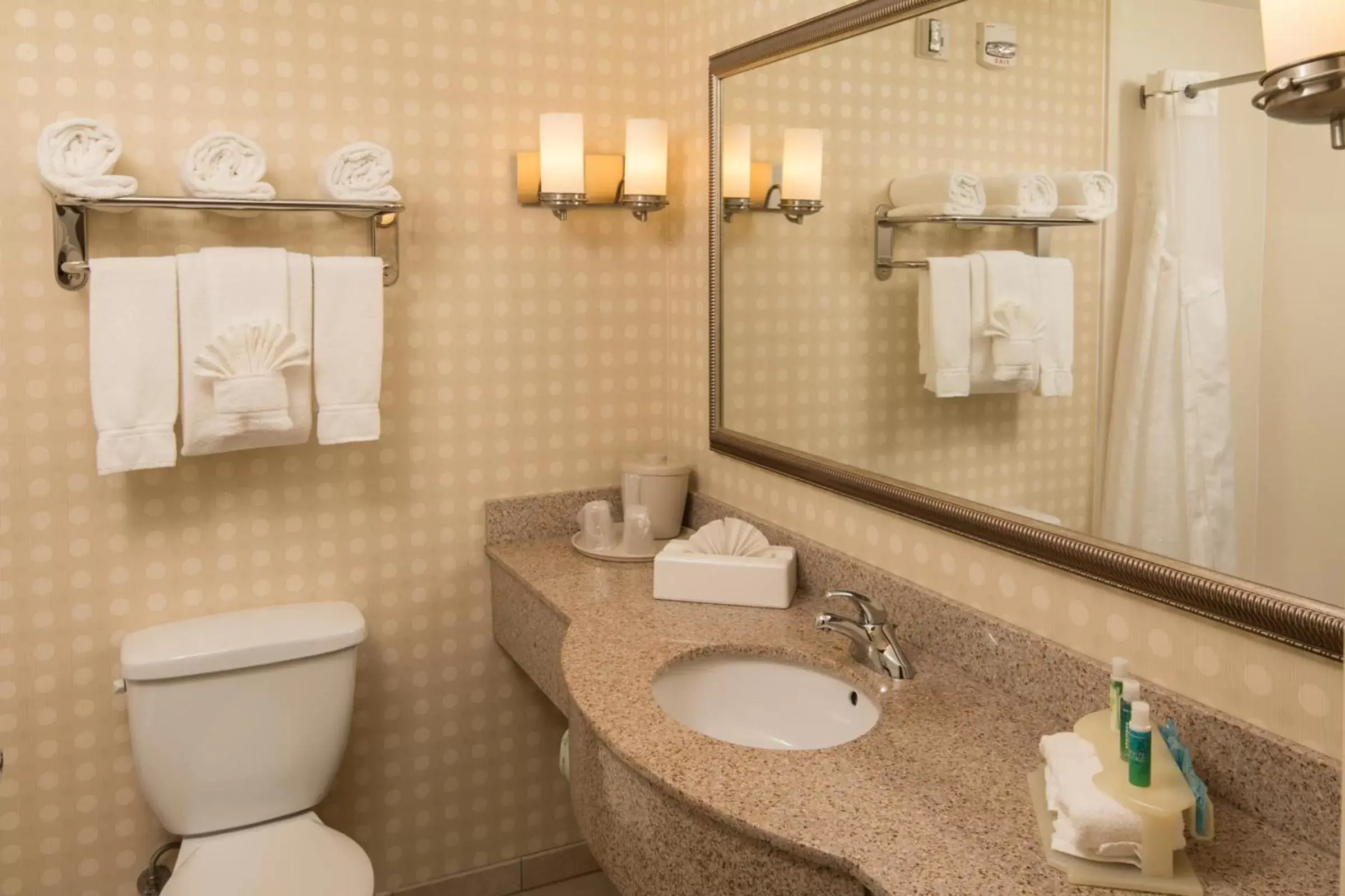 Bathroom in Holiday Inn Express Hotel & Suites Greensboro - Airport Area, an IHG Hotel