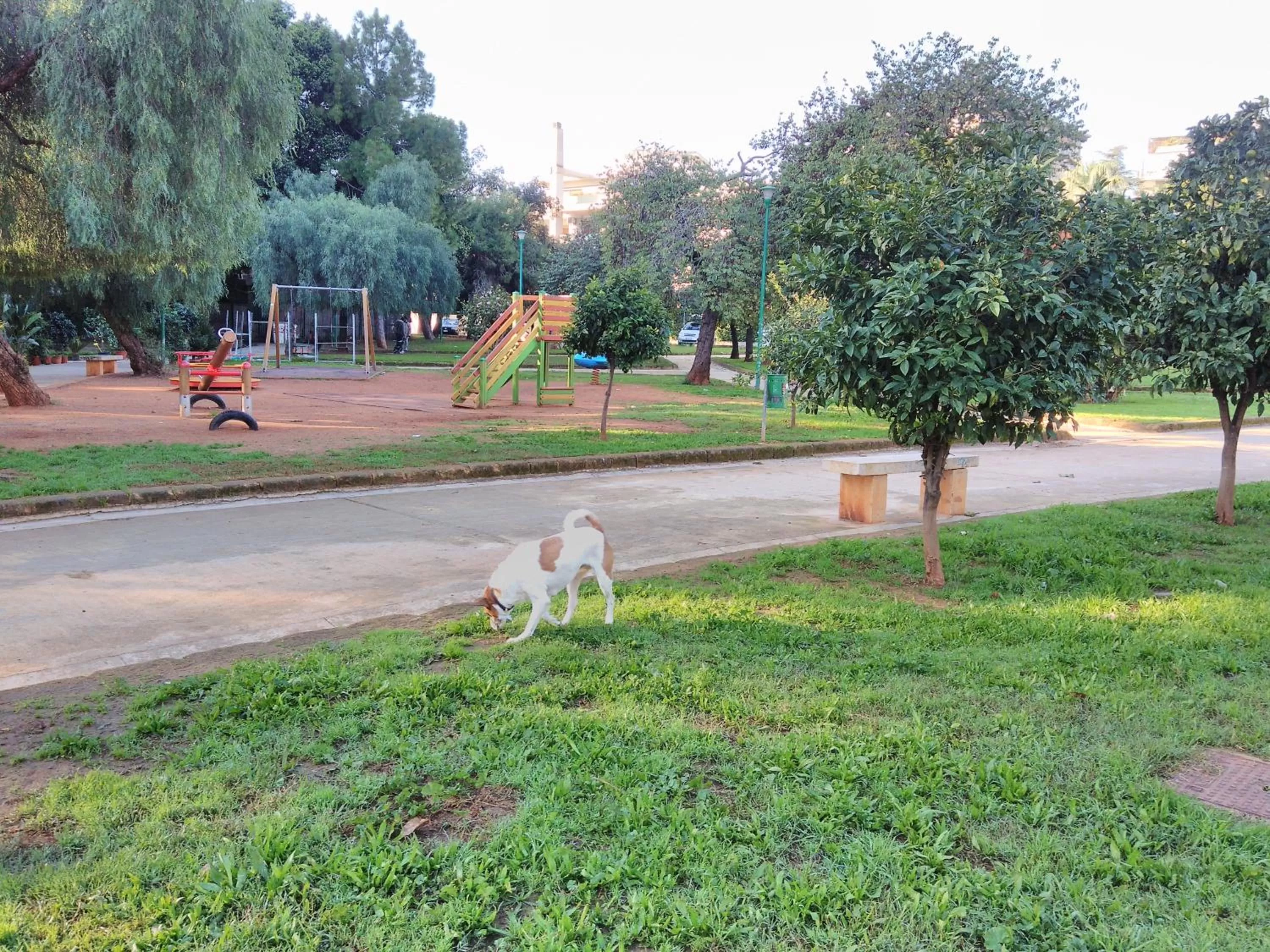 Pets in 120 Rodionoff Centro- Eleganza e Facilità di Accesso a Aeroporto e Spiaggia Mondello