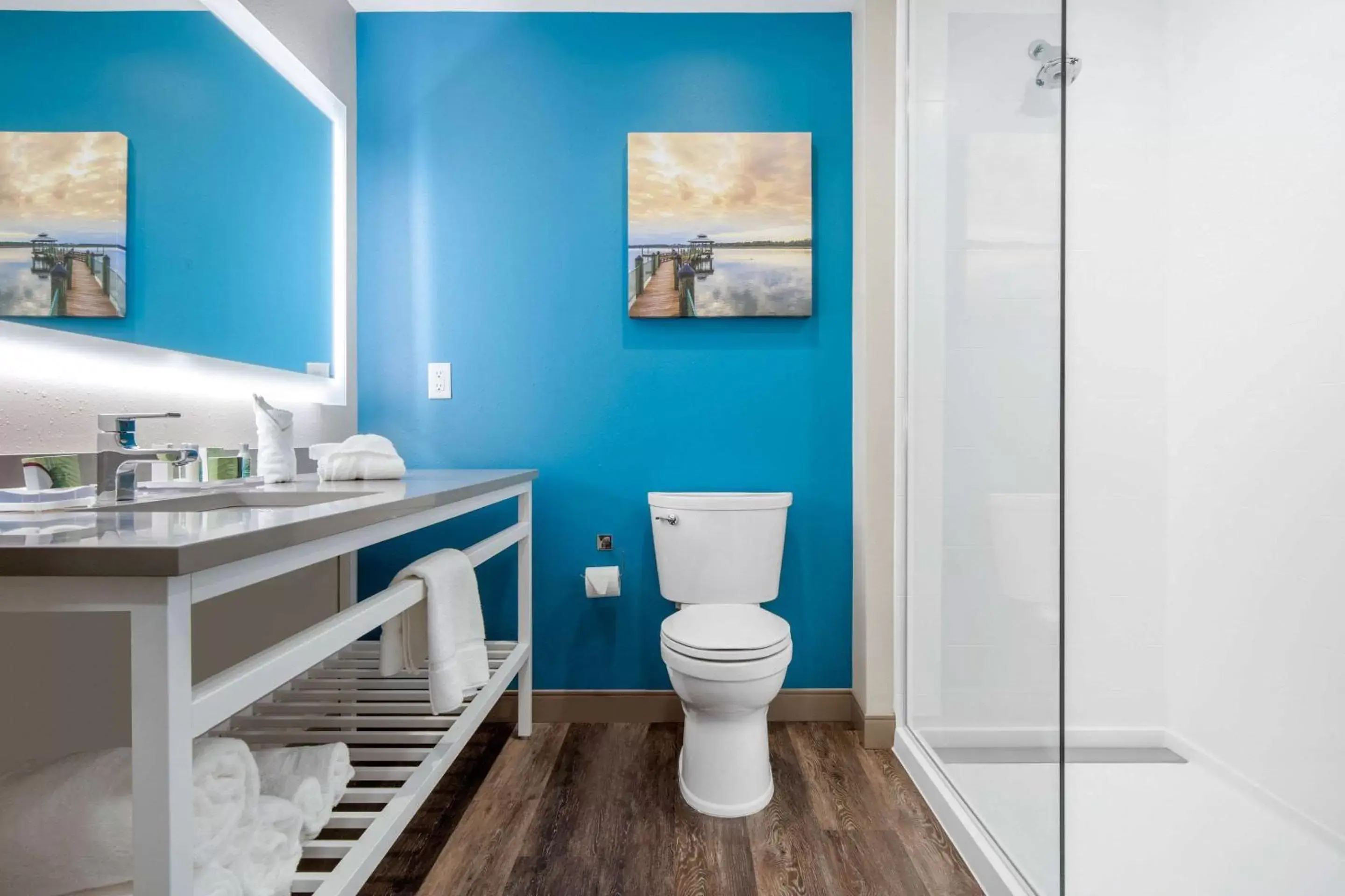 Photo of the whole room, Bathroom in Cambria Hotel Summerville - Charleston