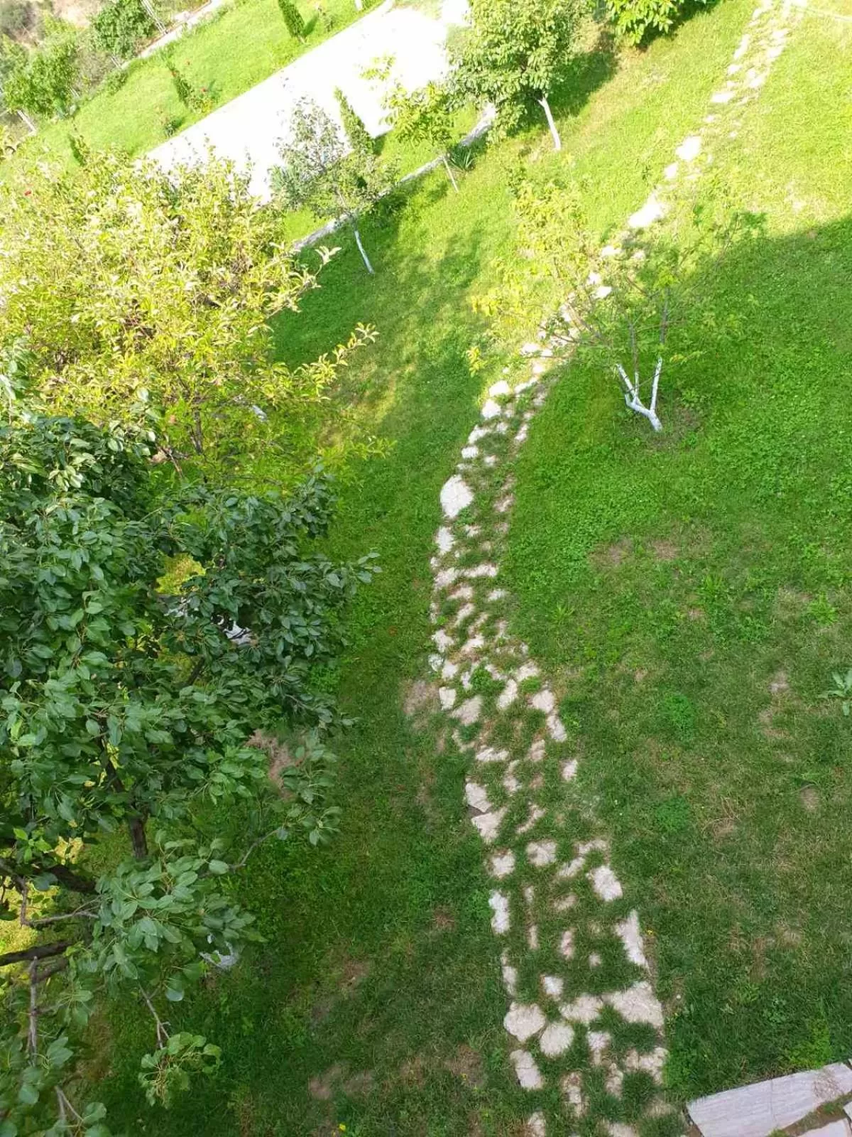 Spring in Guest House Ijevan's Garden