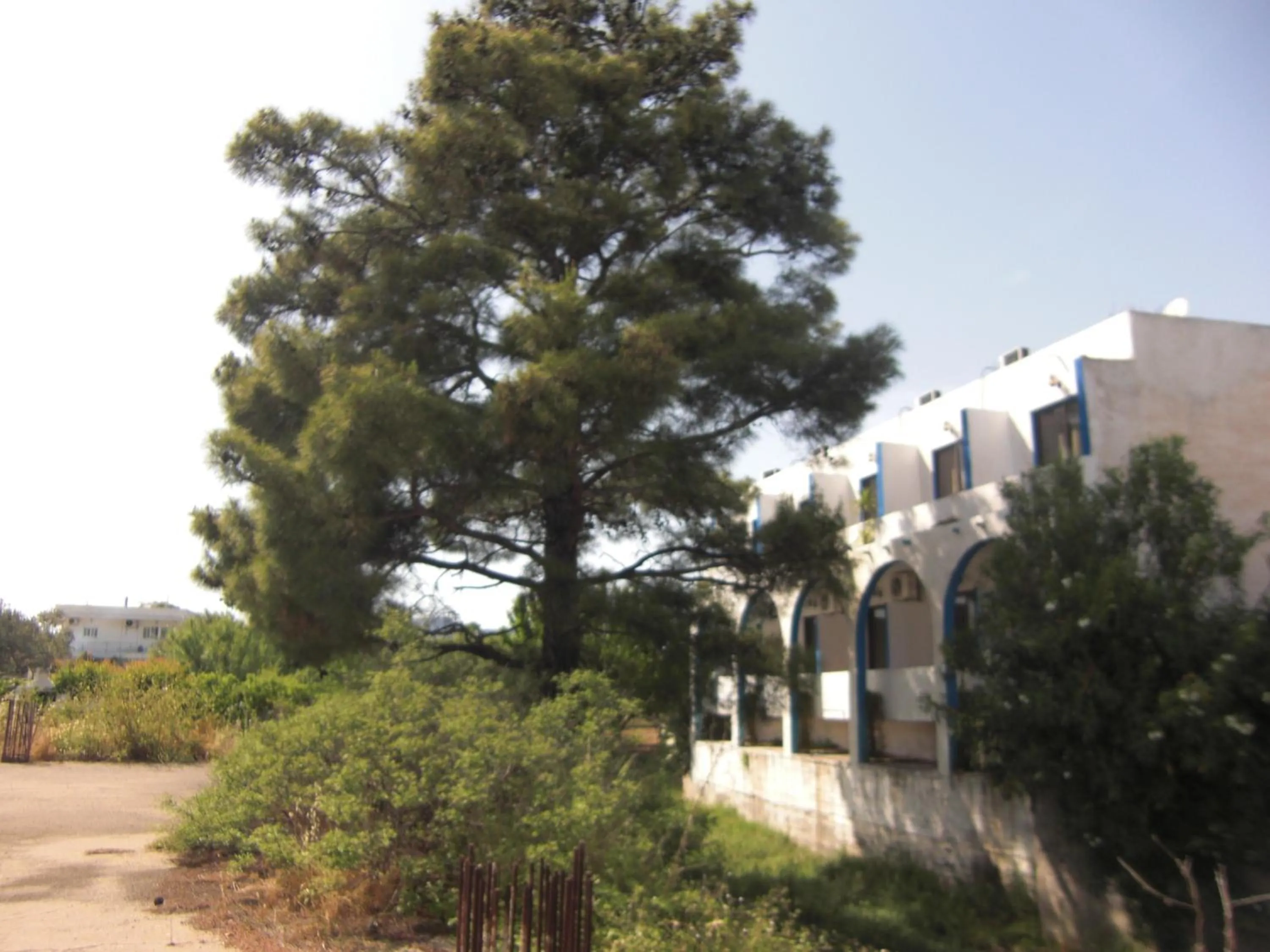 Natural landscape in Anthula Sun