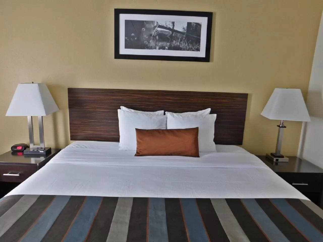 Bed in Wingate by Wyndham Bowling Green