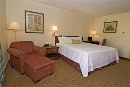 Standard King Room - Non-Smoking  in Quality Inn & Suites Searcy I-67