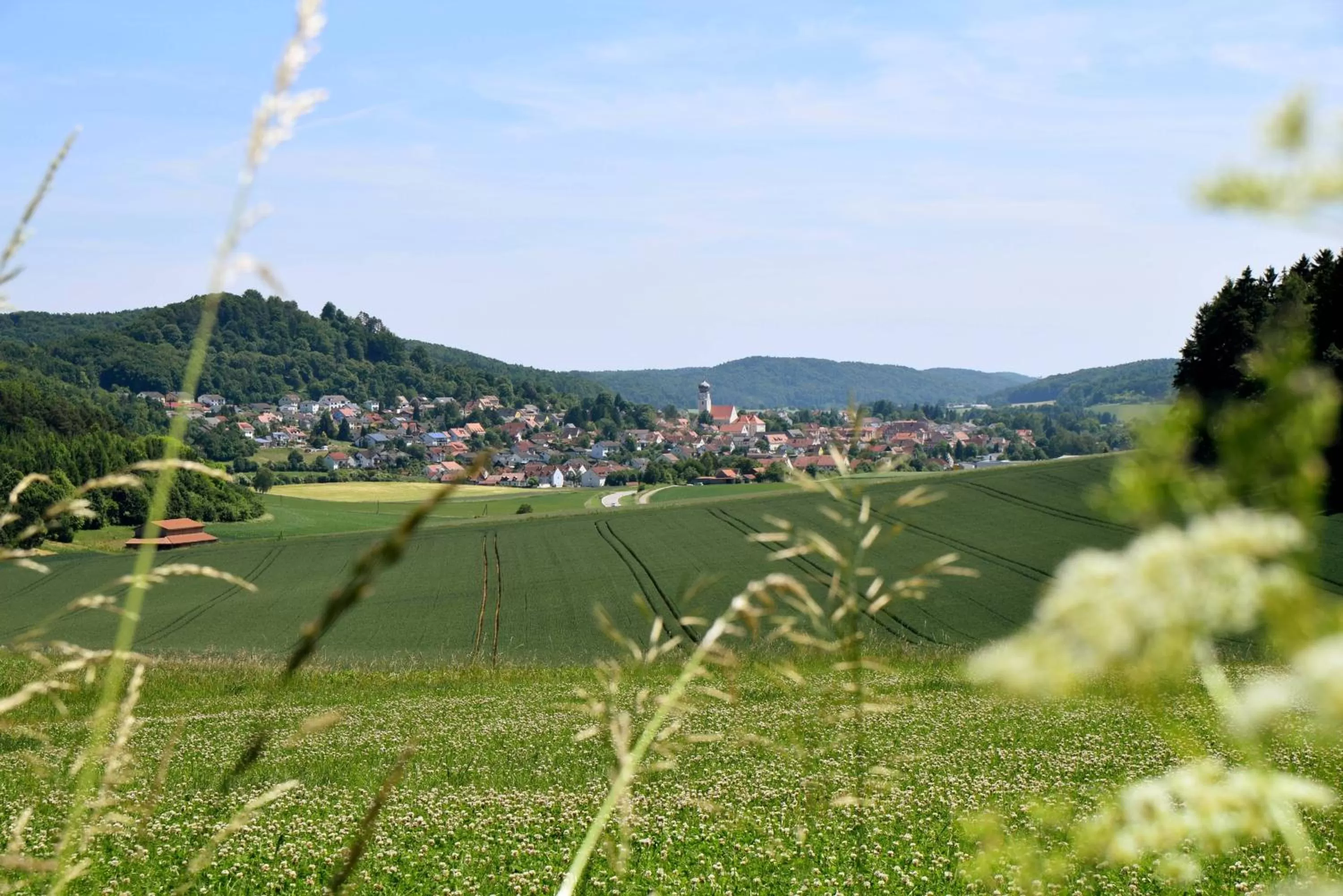 Neighbourhood in Hotel Gasthof Zum Löwen