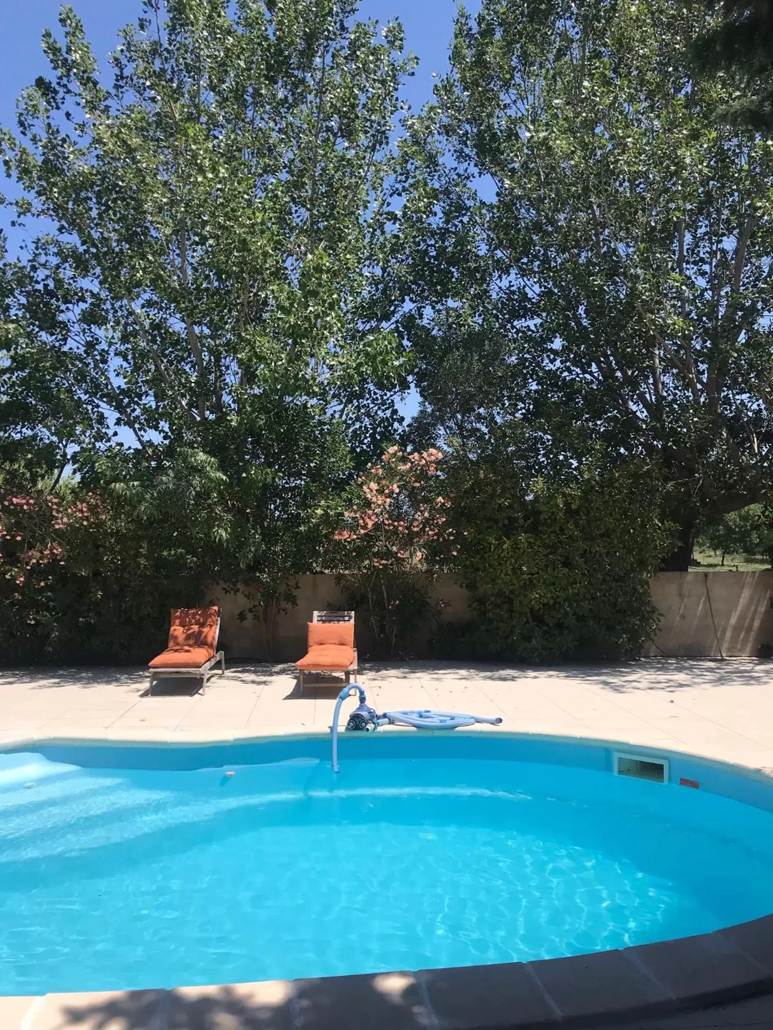 Swimming Pool in Le Mas de la Prade