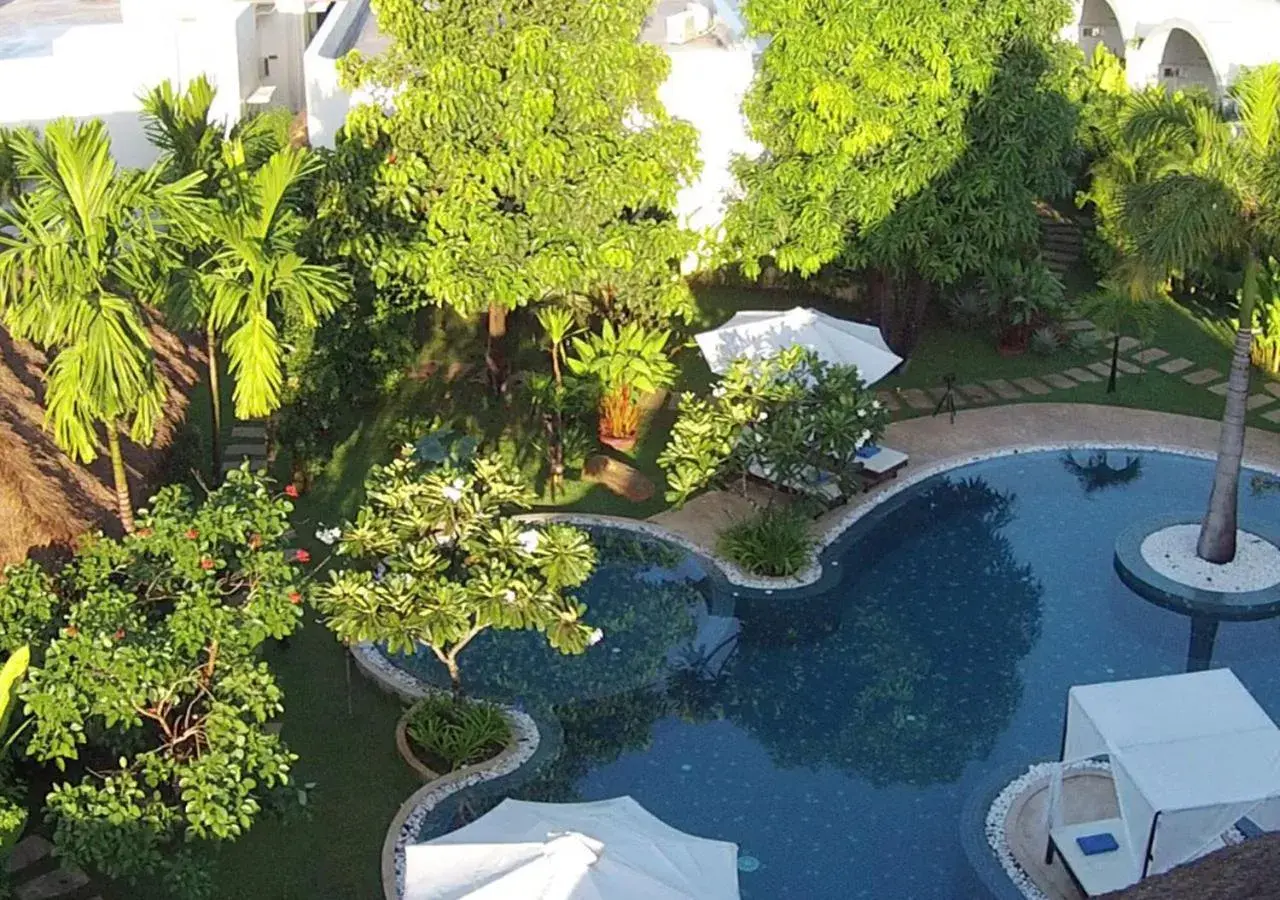 Swimming pool, Pool View in Navutu Dreams Resort & Wellness Retreat