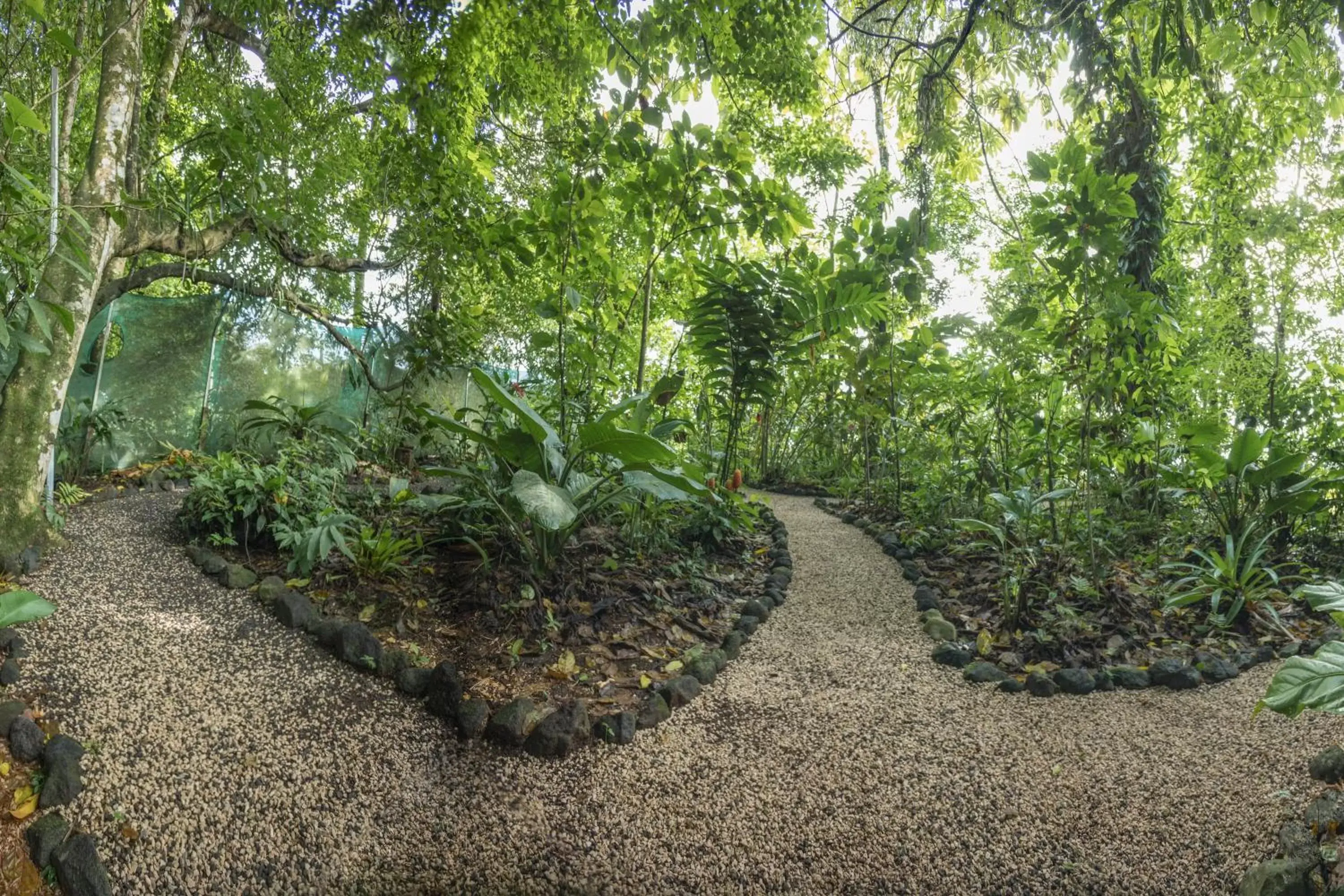 Garden view in Cabañas del Rio