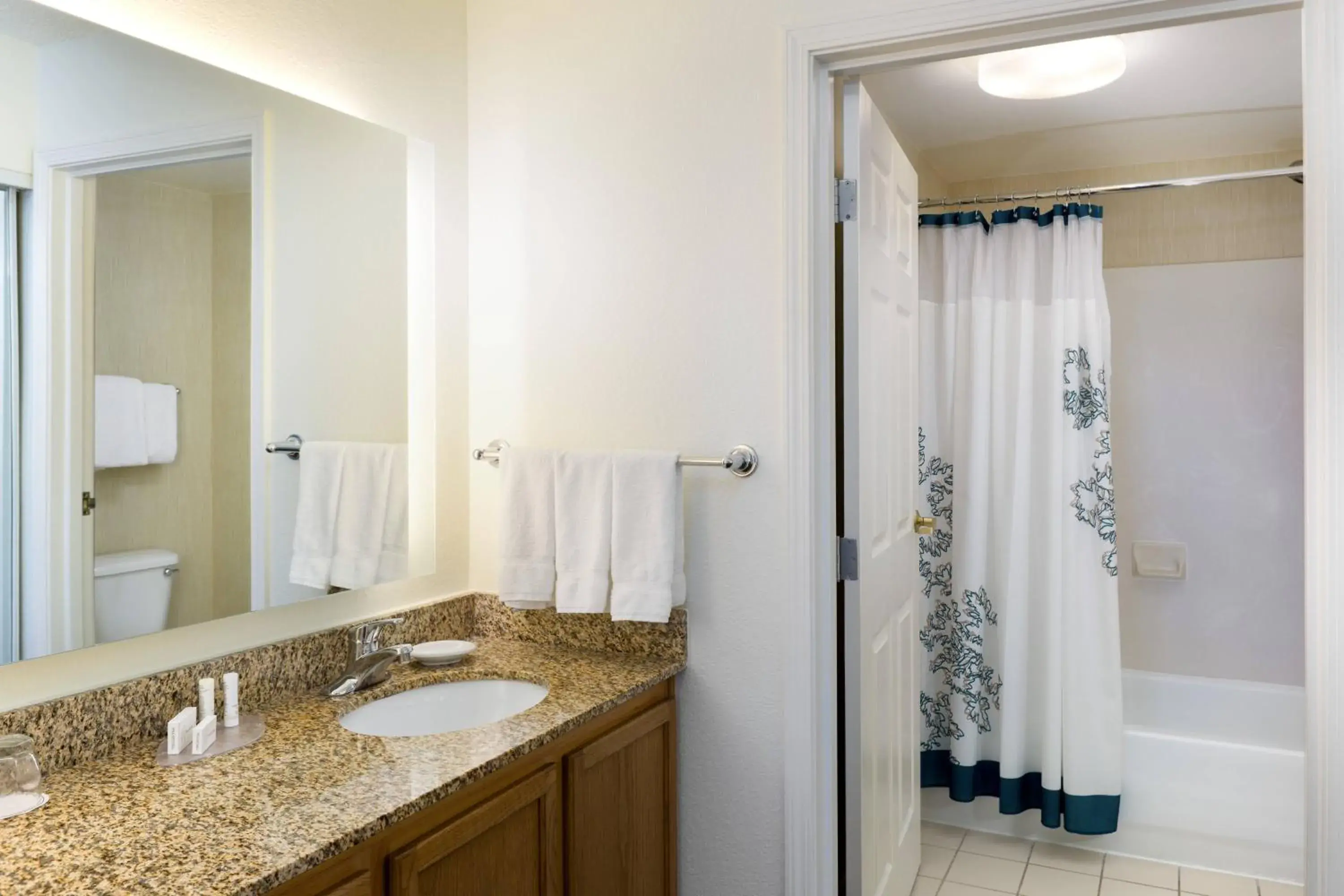 Bathroom in Residence Inn by Marriott Austin Parmer/Tech Ridge