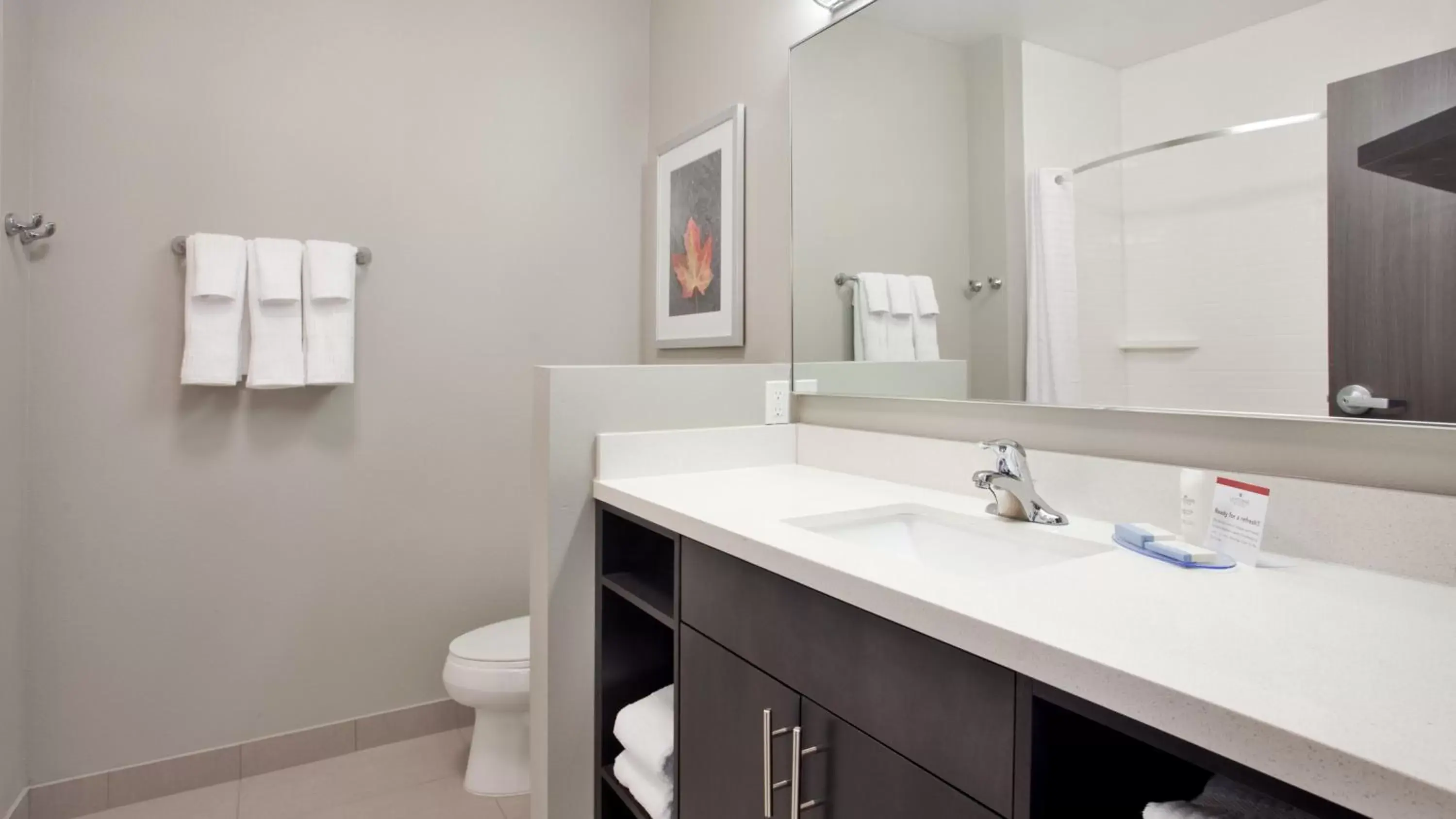 Bathroom in Candlewood Suites Grand Island, an IHG Hotel
