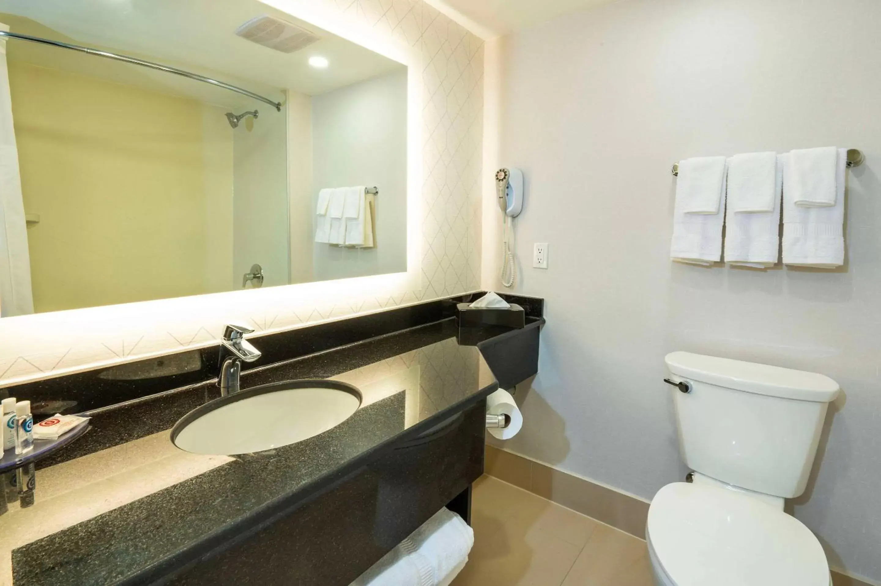 Bedroom, Bathroom in Comfort Inn & Conference Centre Toronto Airport