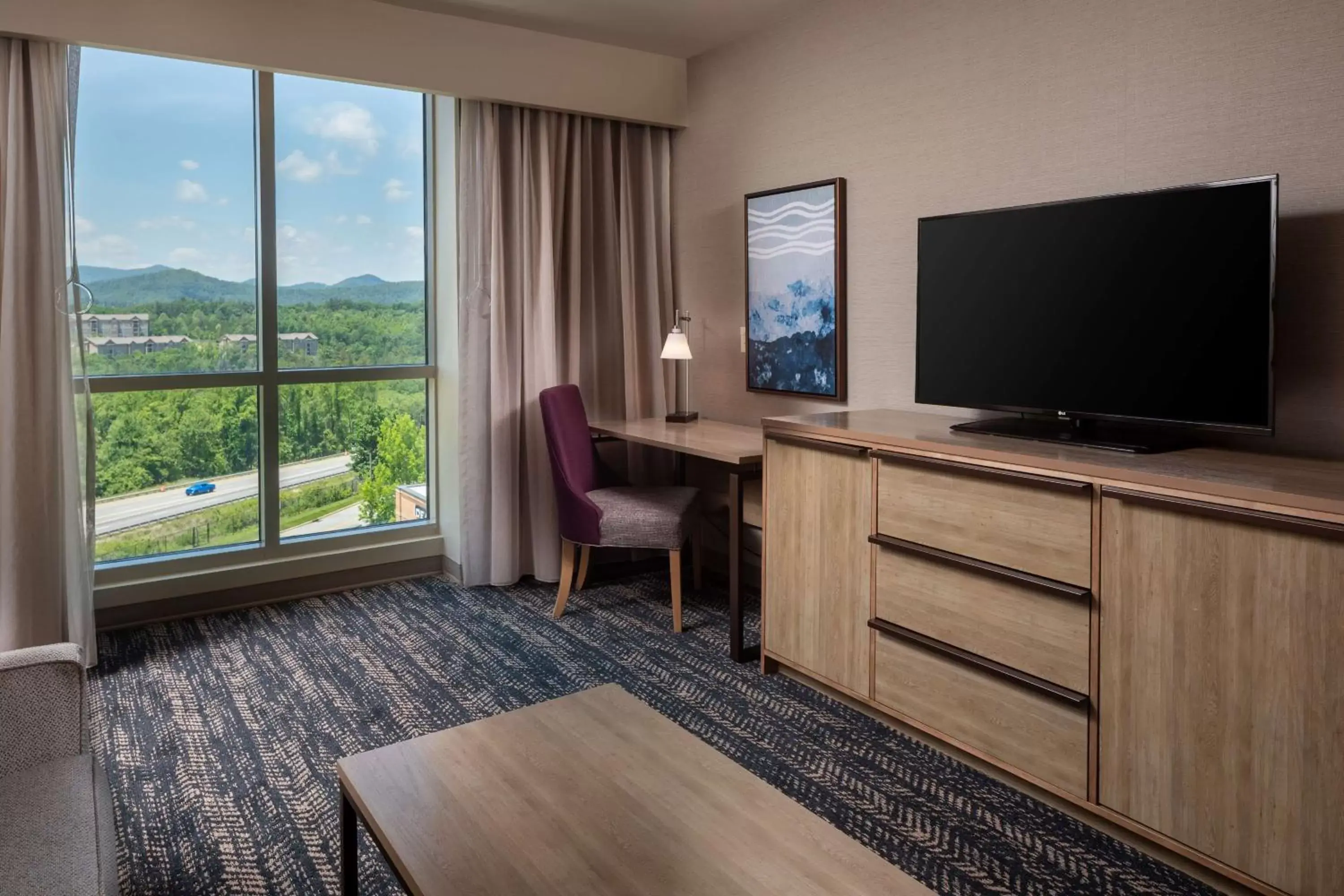 Bedroom, TV/Entertainment Center in Hilton Asheville Biltmore Park