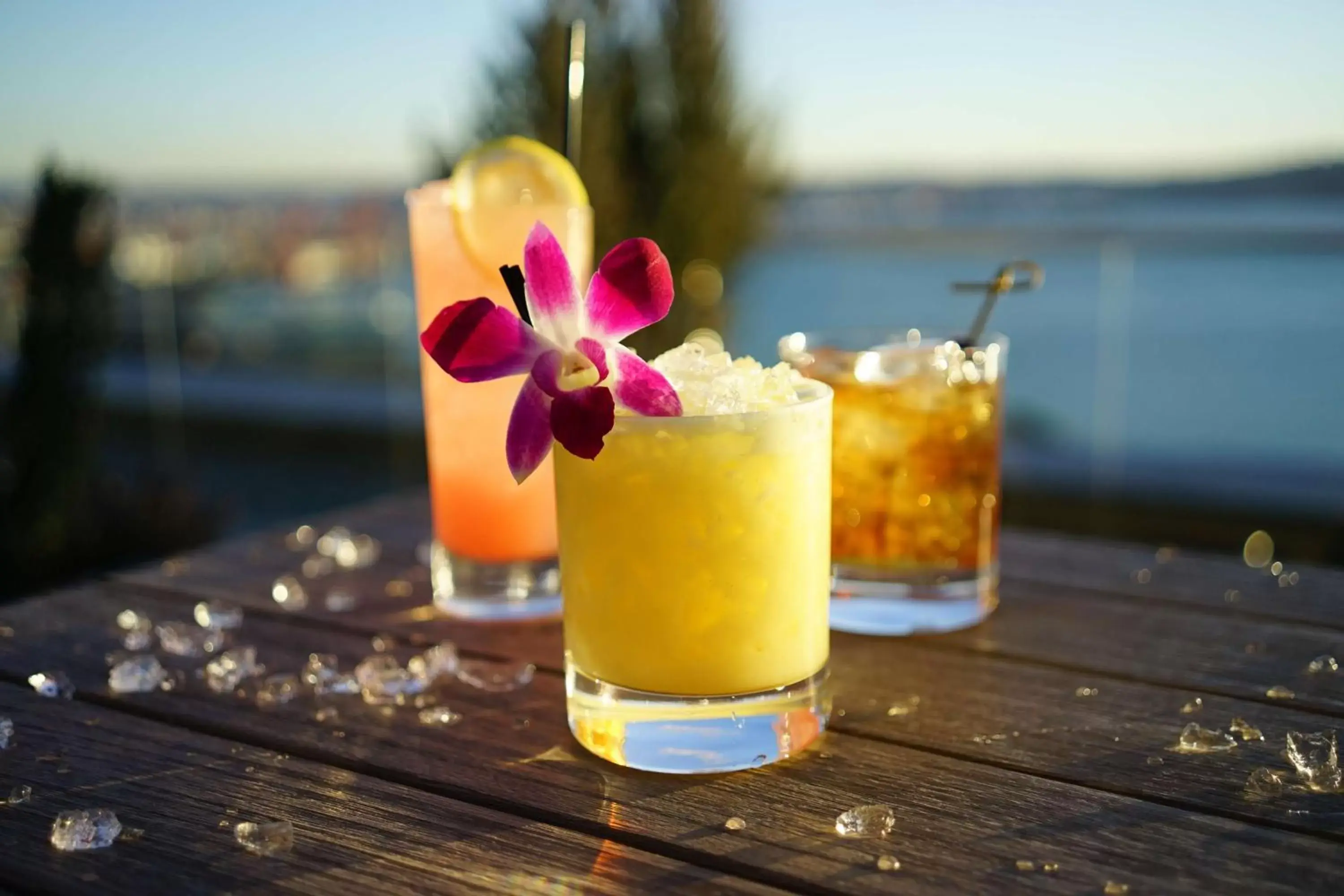 Restaurant/places to eat in Thompson Seattle, by Hyatt Restaurant/places to eat in Thompson Seattle, by Hyatt