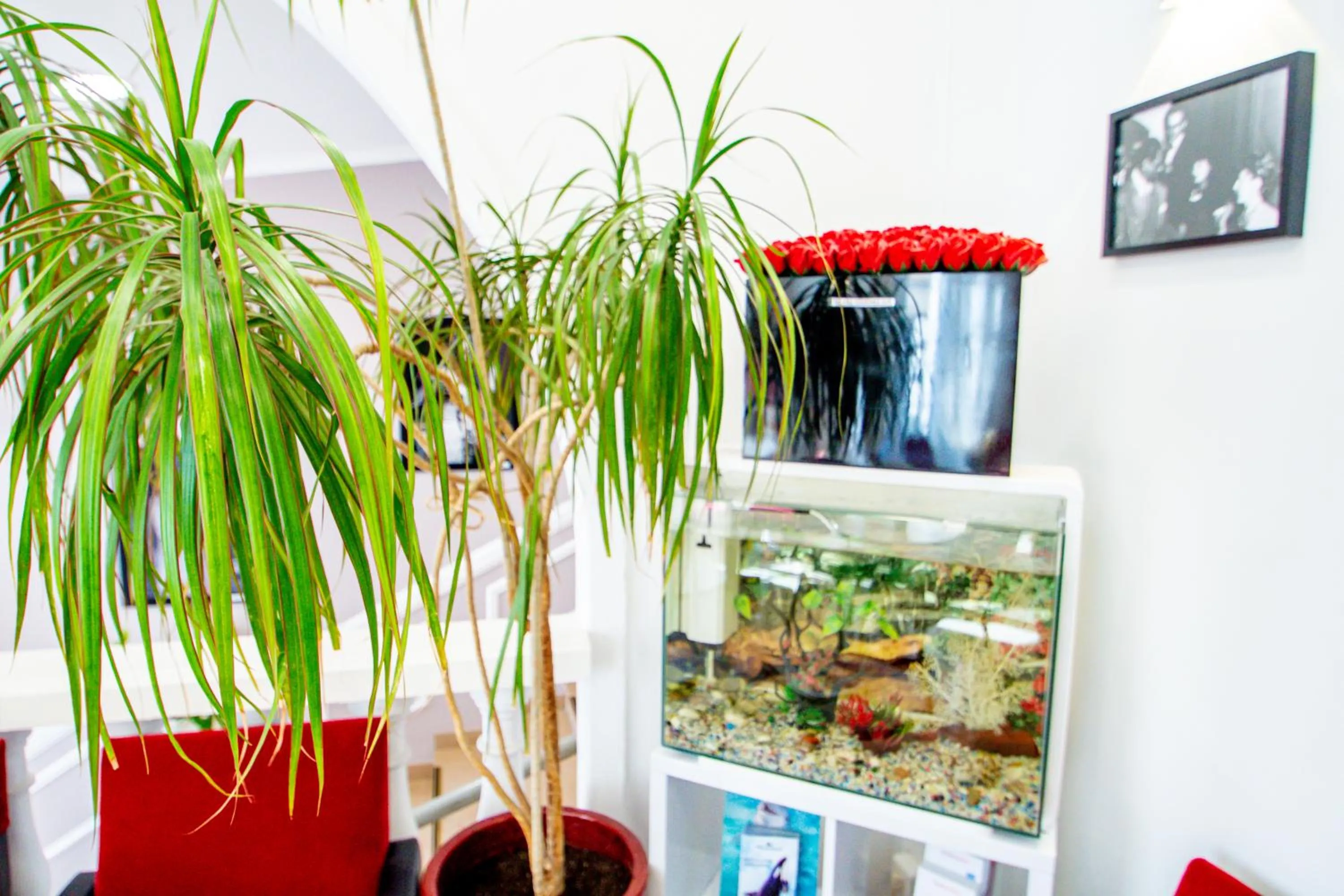 Lobby or reception in Hôtel Parisien