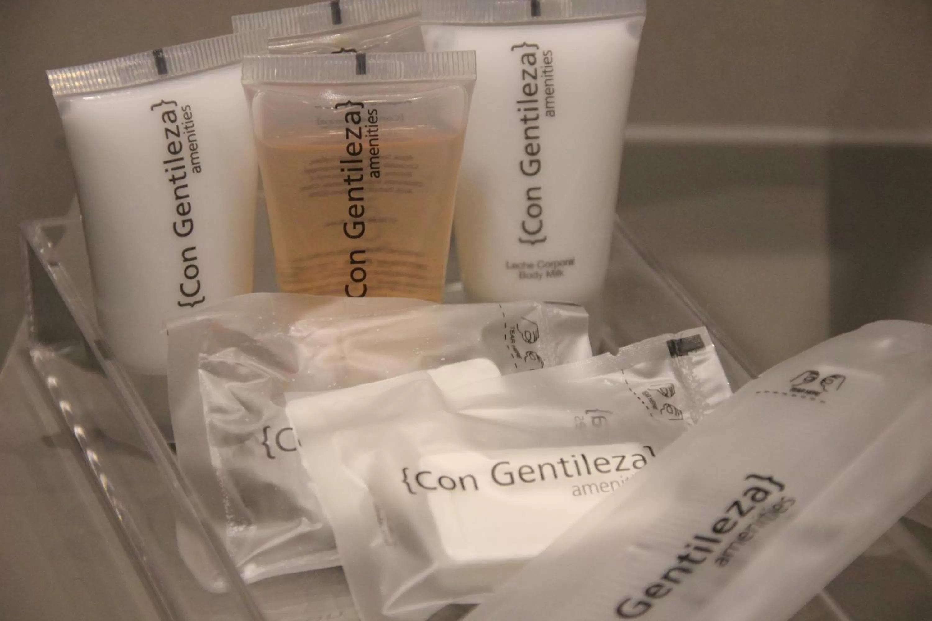 Decorative detail in Hotel Parque Real