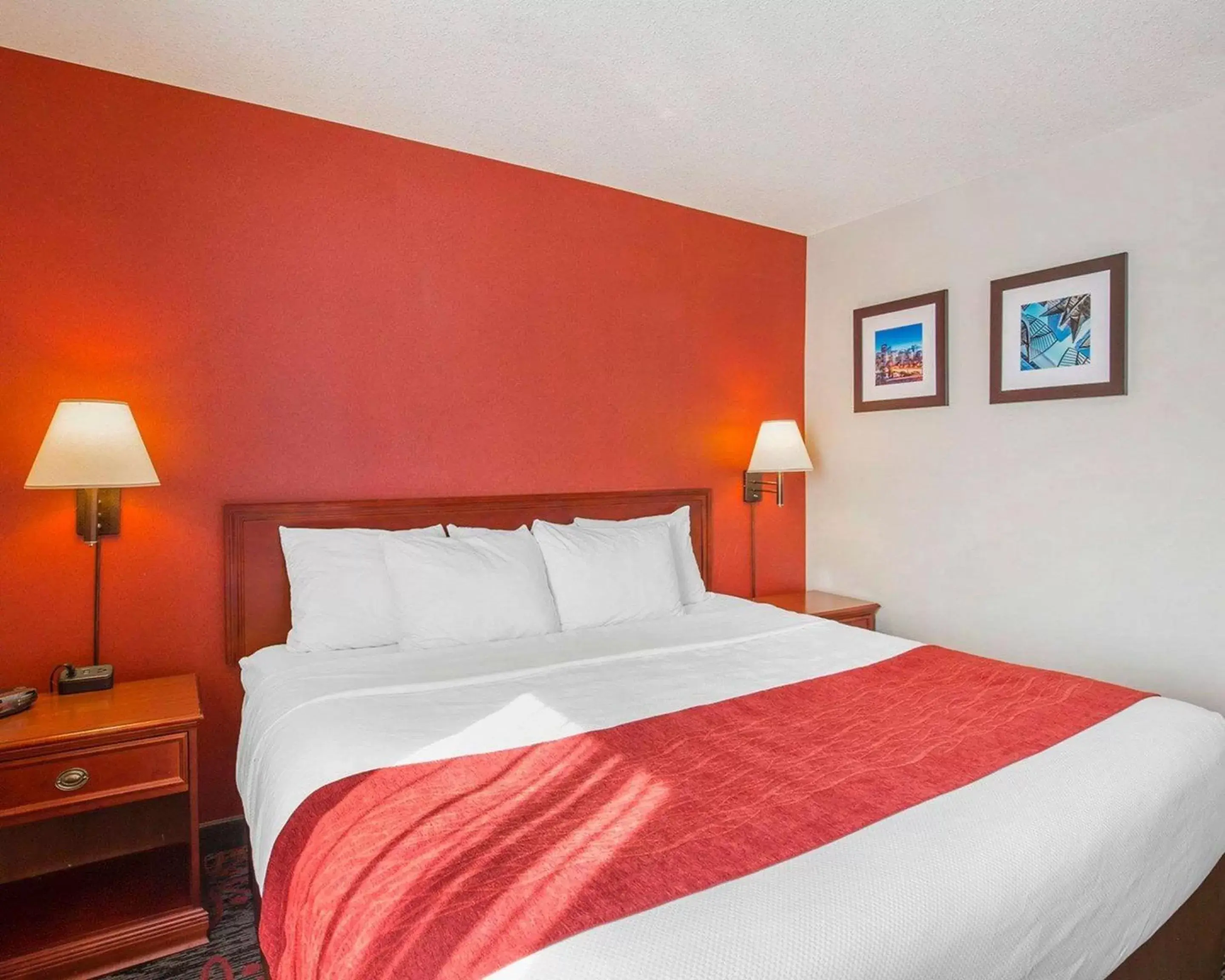 Photo of the whole room, Bed in Comfort Inn & Suites University Photo of the whole room, Bed in Comfort Inn & Suites University